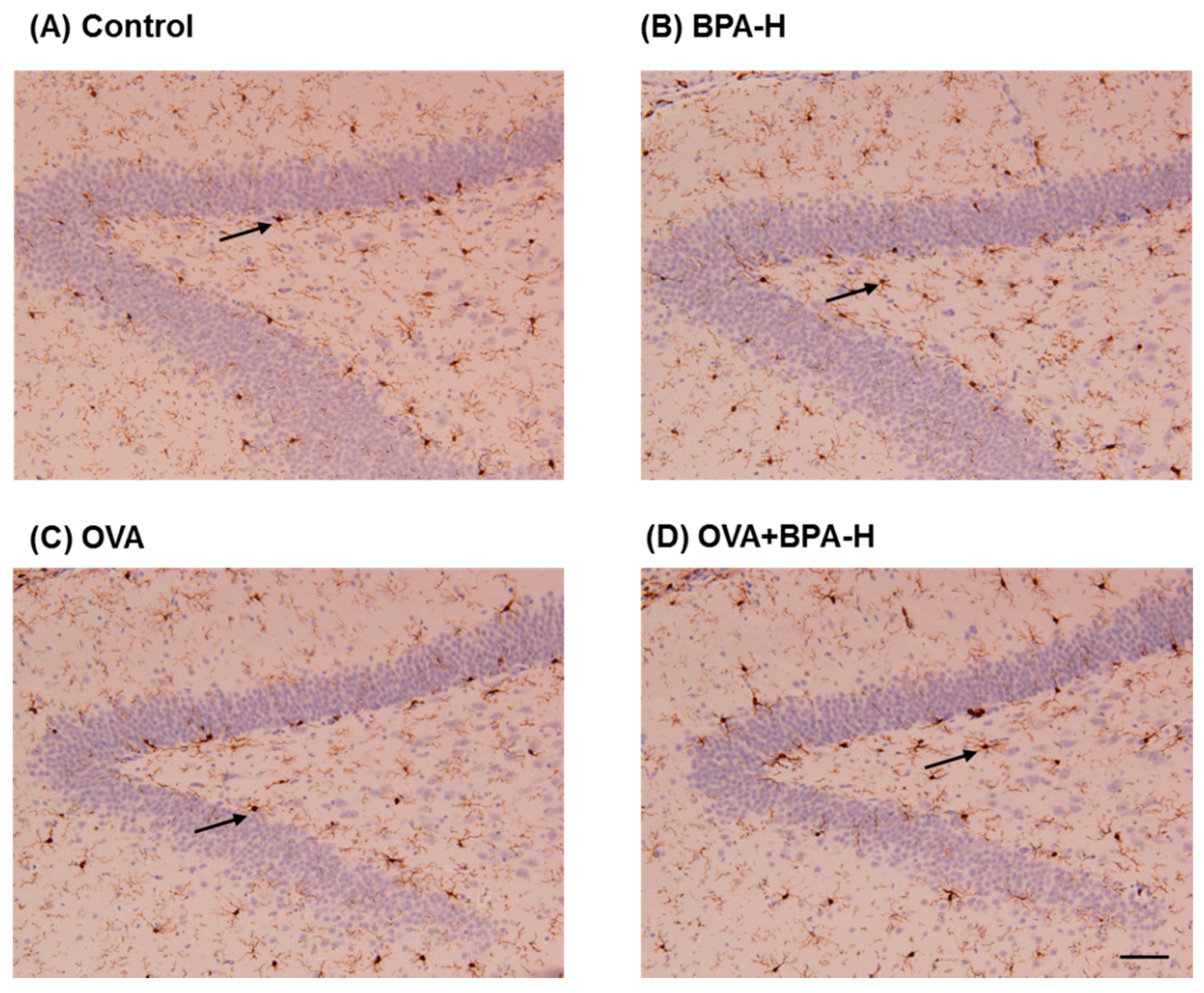 Ijerph 16 03770 g008 Ijerph 16 03770 g008