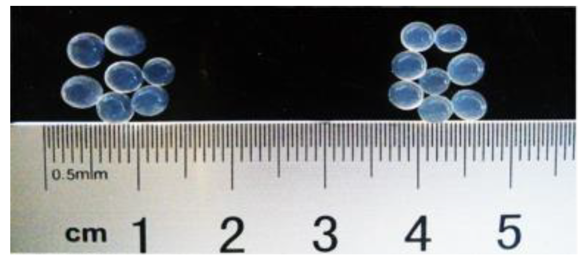 Ijerph 16 03777 g001