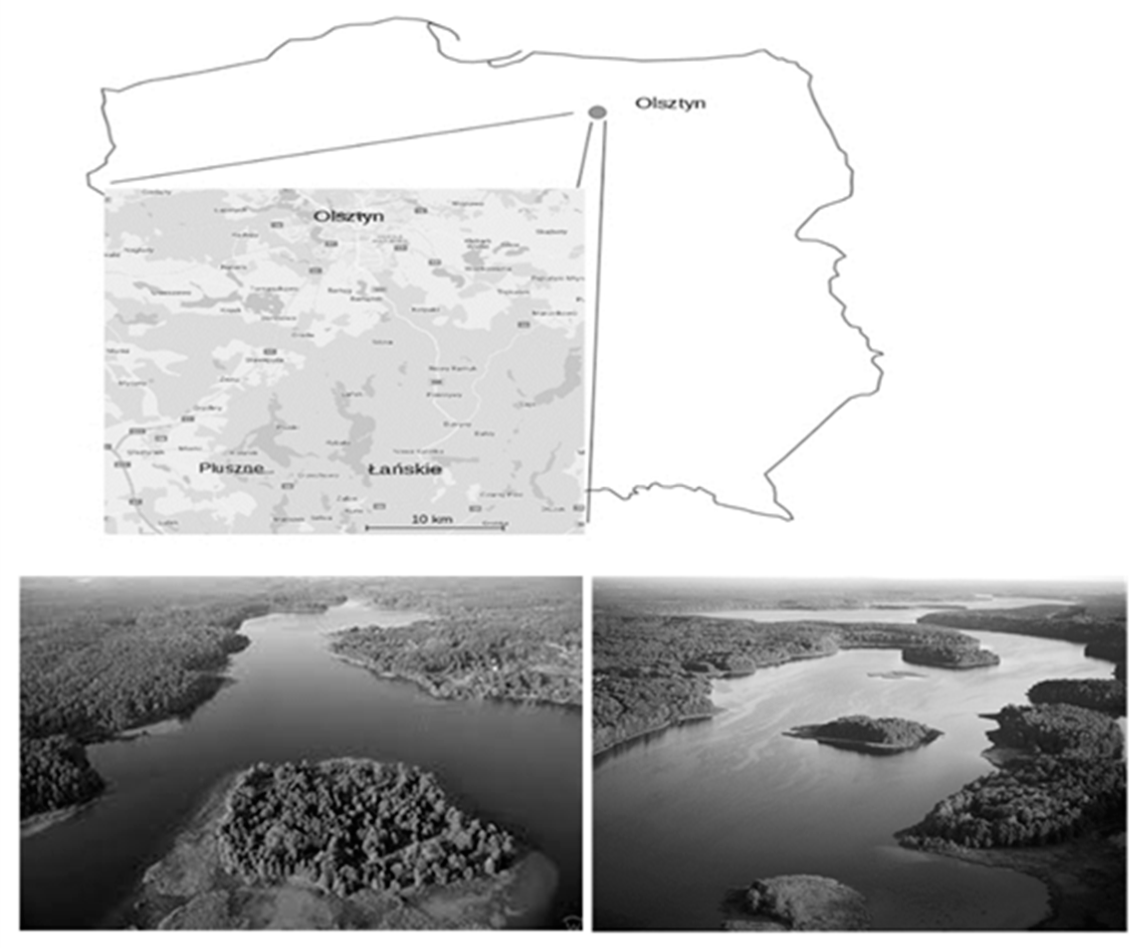 Ijerph 16 03780 g001 Ijerph 16 03780 g001