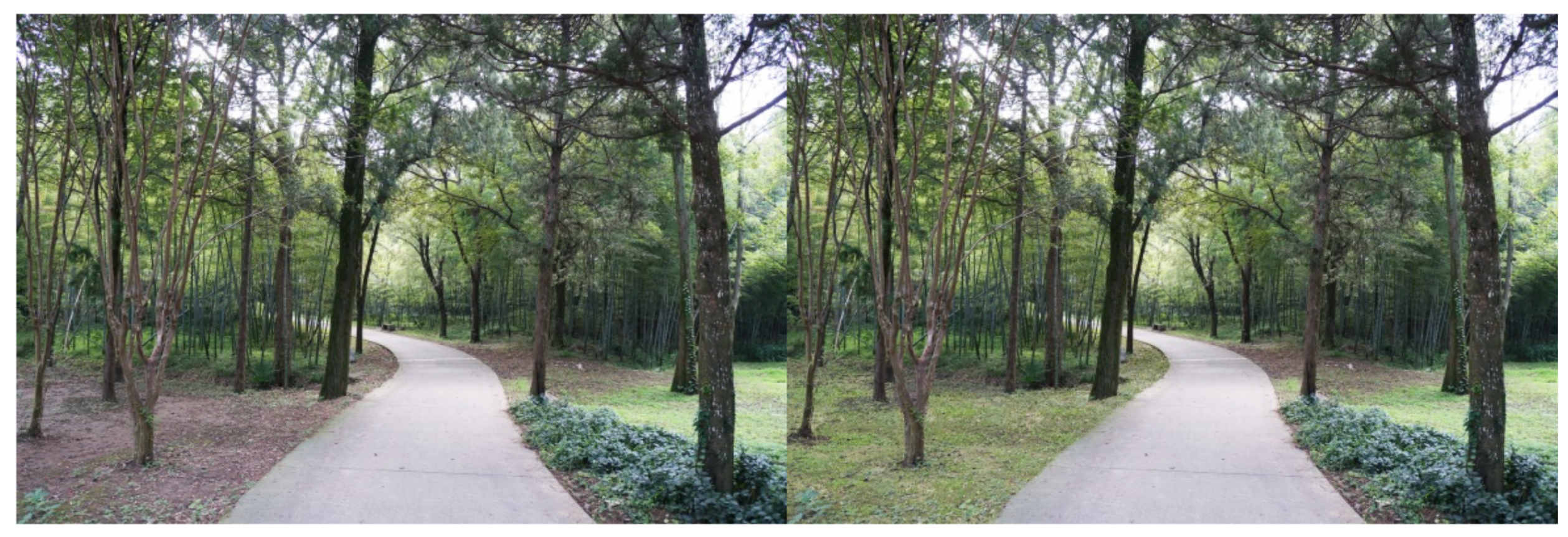 Ijerph 16 03808 g003