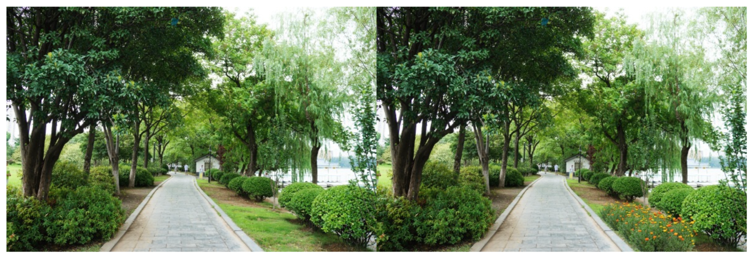 Ijerph 16 03808 g005