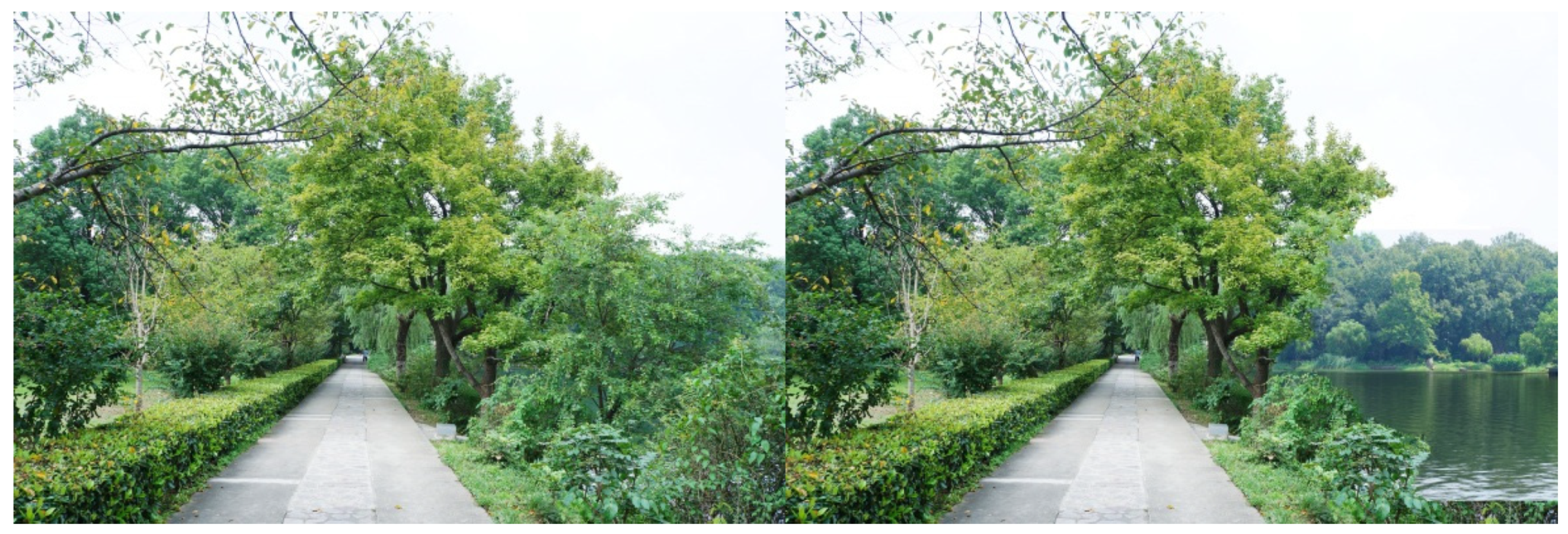 Ijerph 16 03808 g008