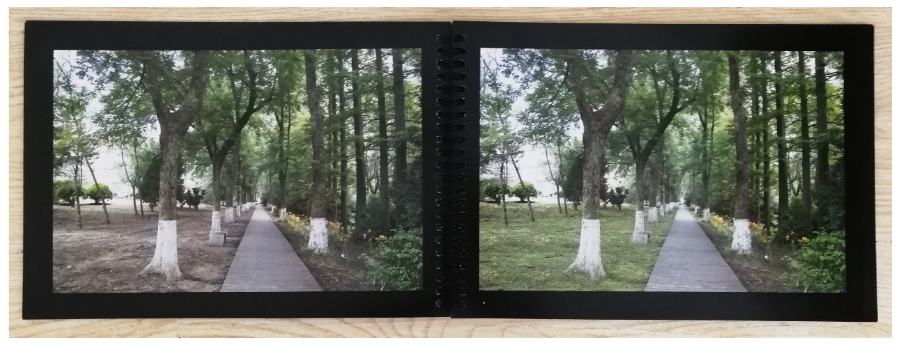 Ijerph 16 03808 g010