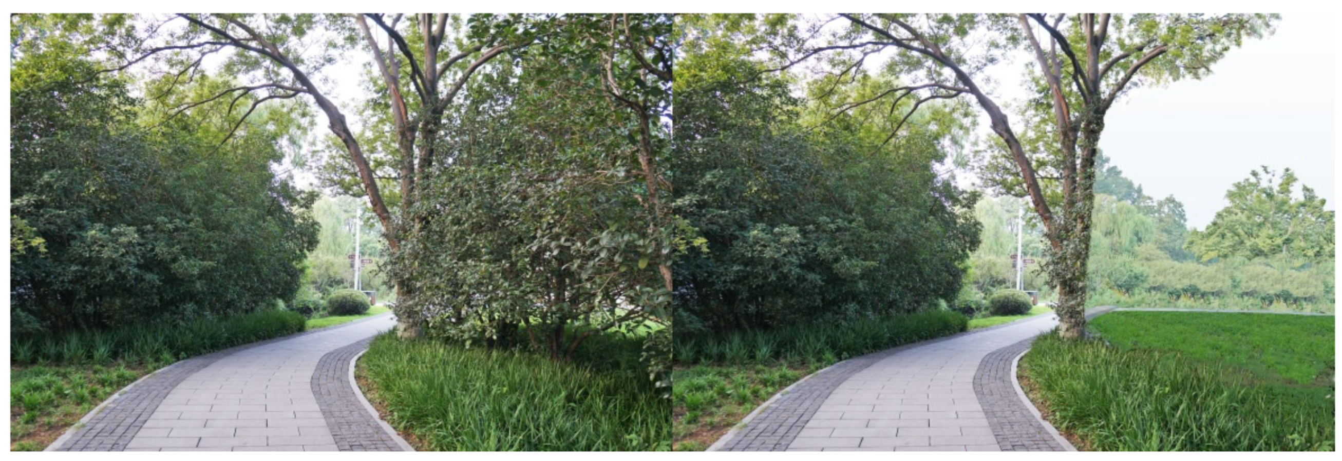 Ijerph 16 03808 g014