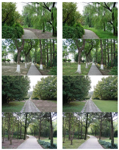 Ijerph 16 03808 i001