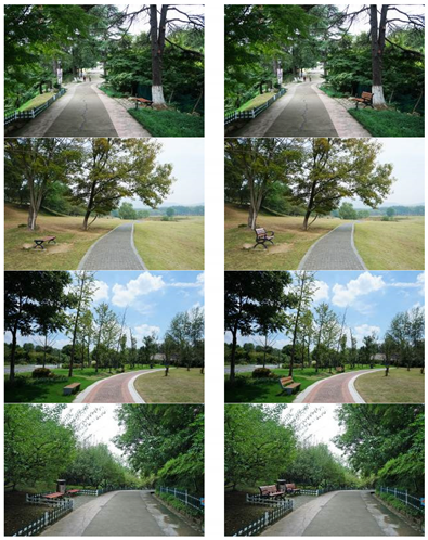 Ijerph 16 03808 i002