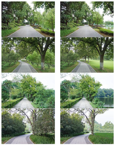 Ijerph 16 03808 i006