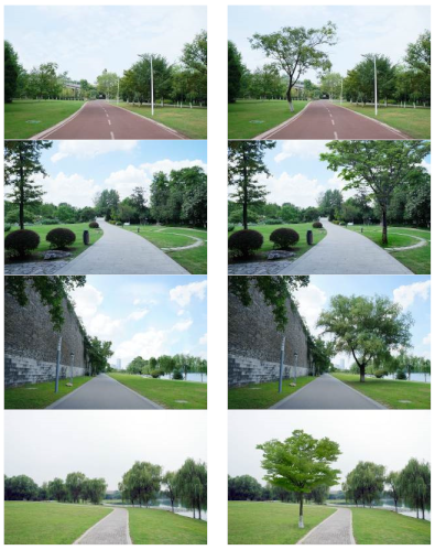 Ijerph 16 03808 i007