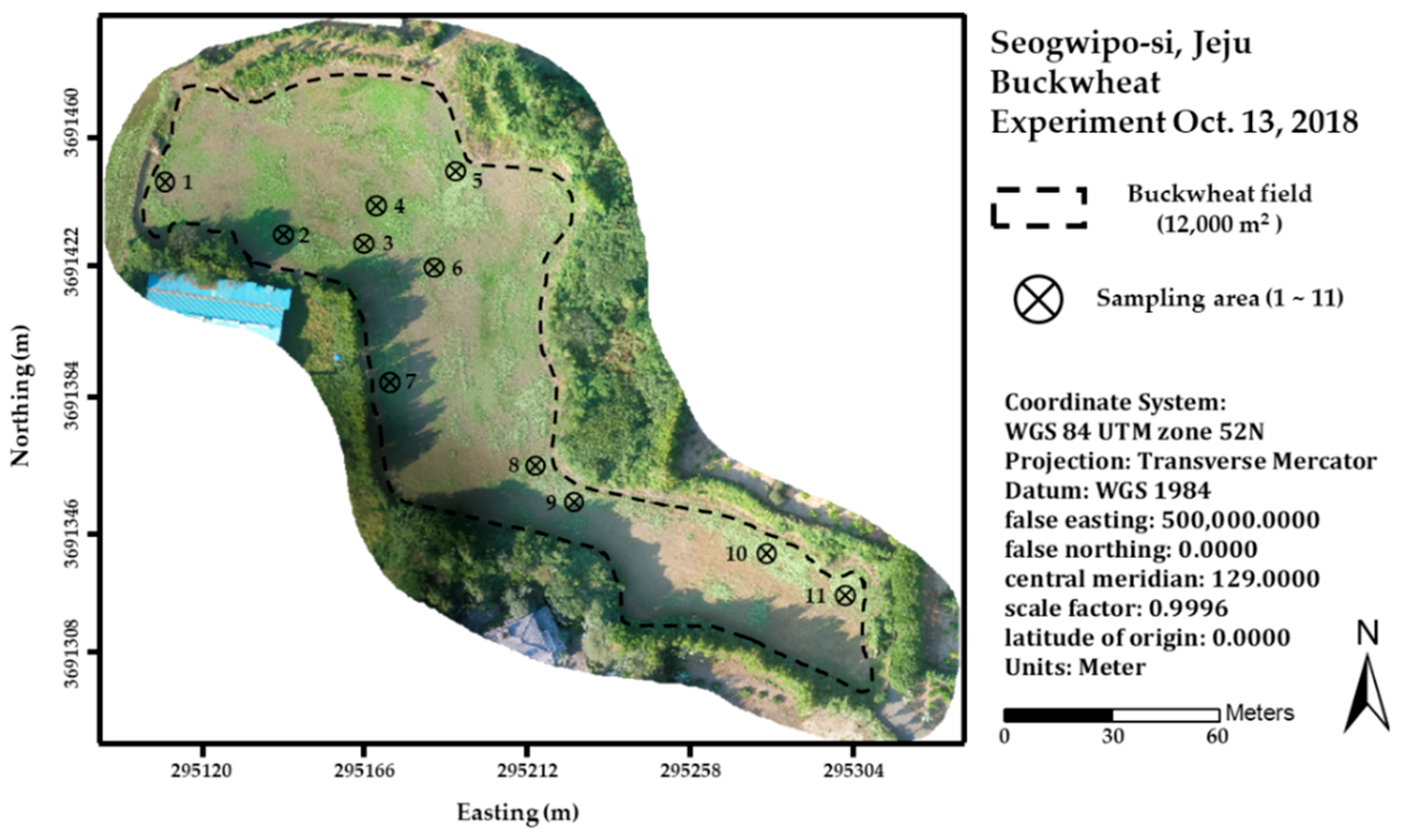 Ijerph 16 03893 g001