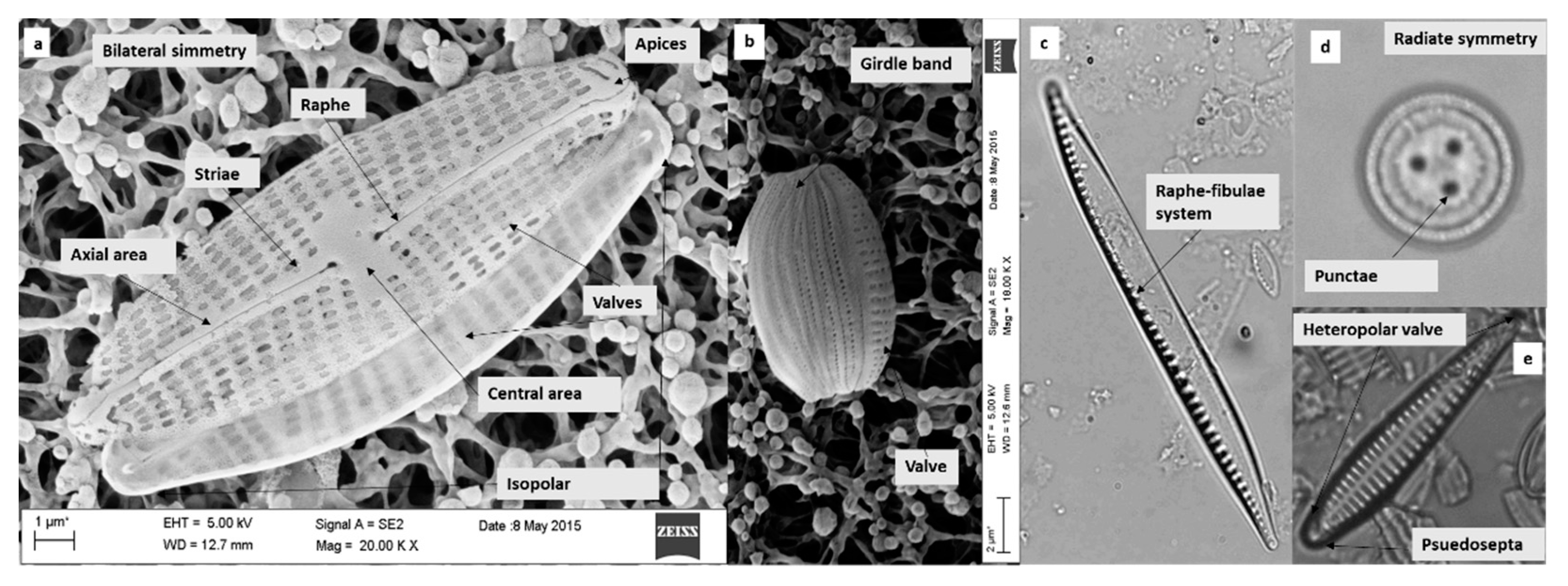 Ijerph 16 03933 g001