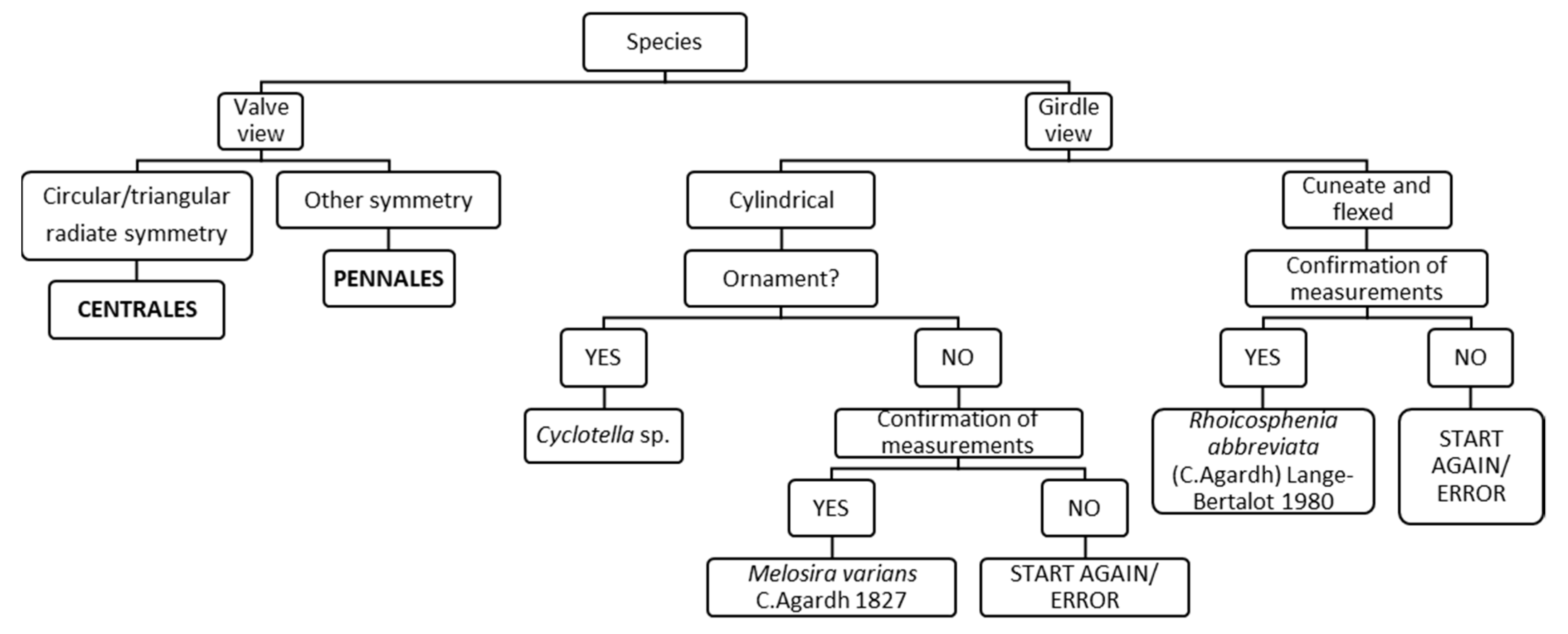 Ijerph 16 03933 g003