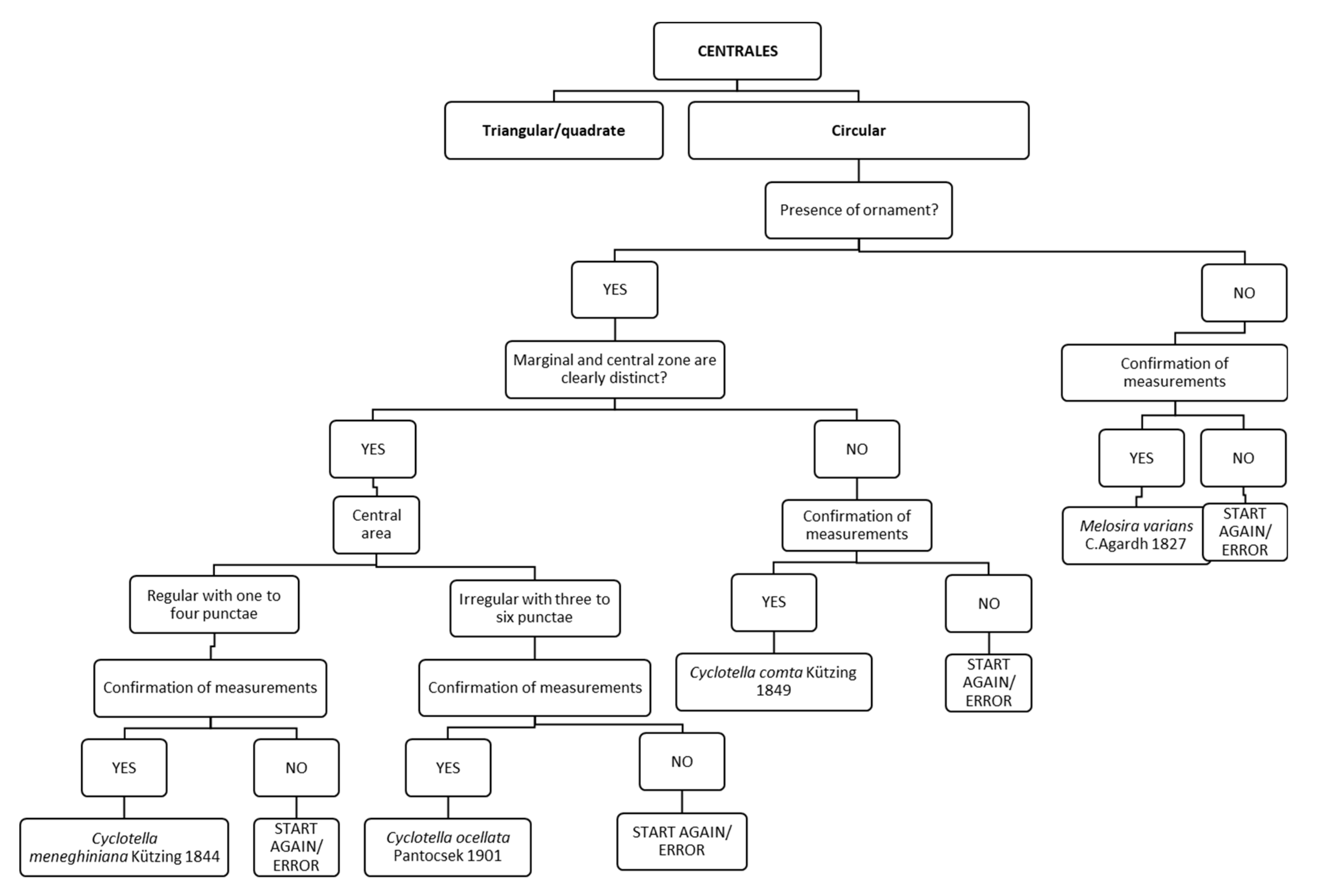 Ijerph 16 03933 g004