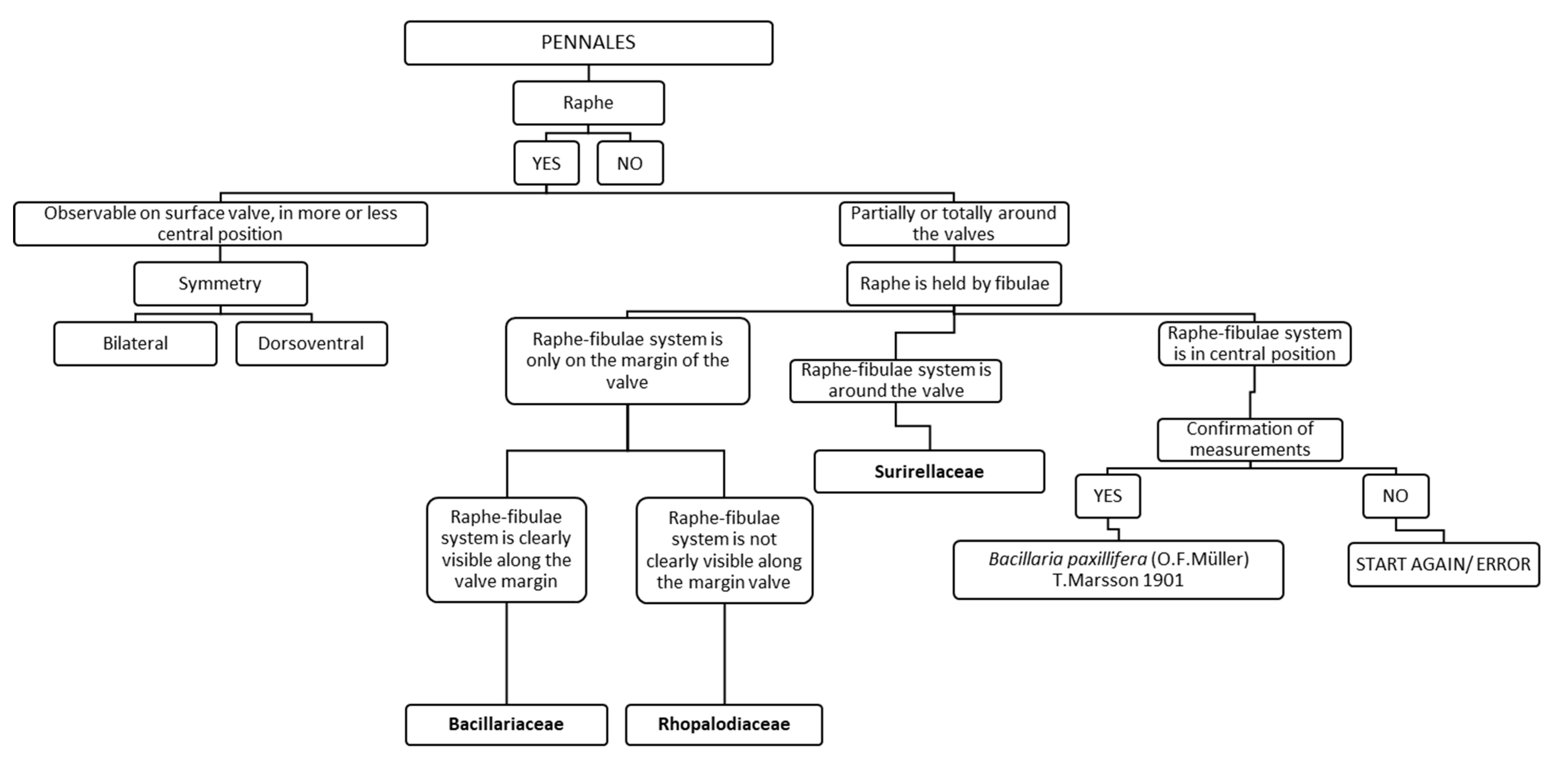 Ijerph 16 03933 g005