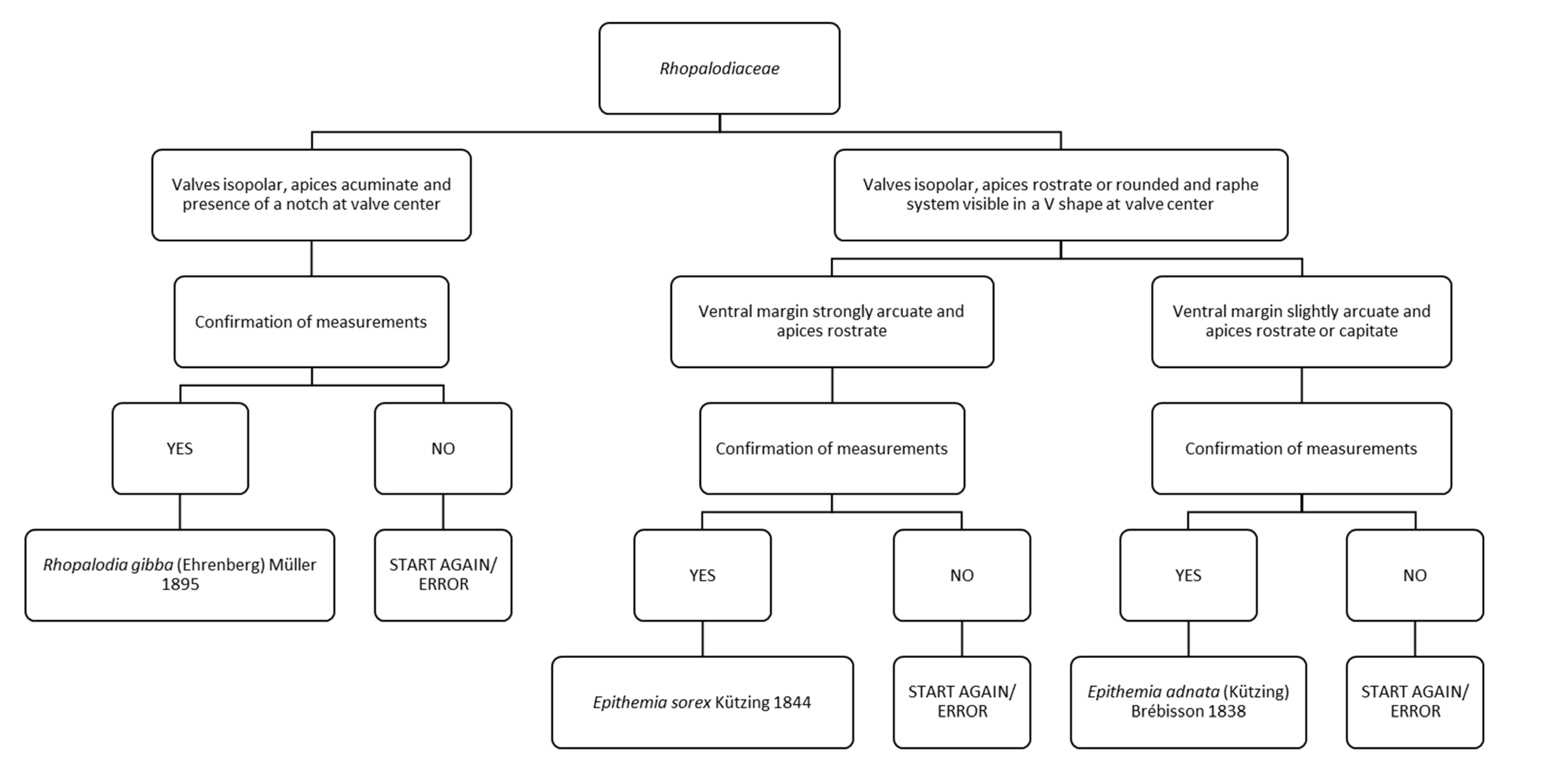 Ijerph 16 03933 g006