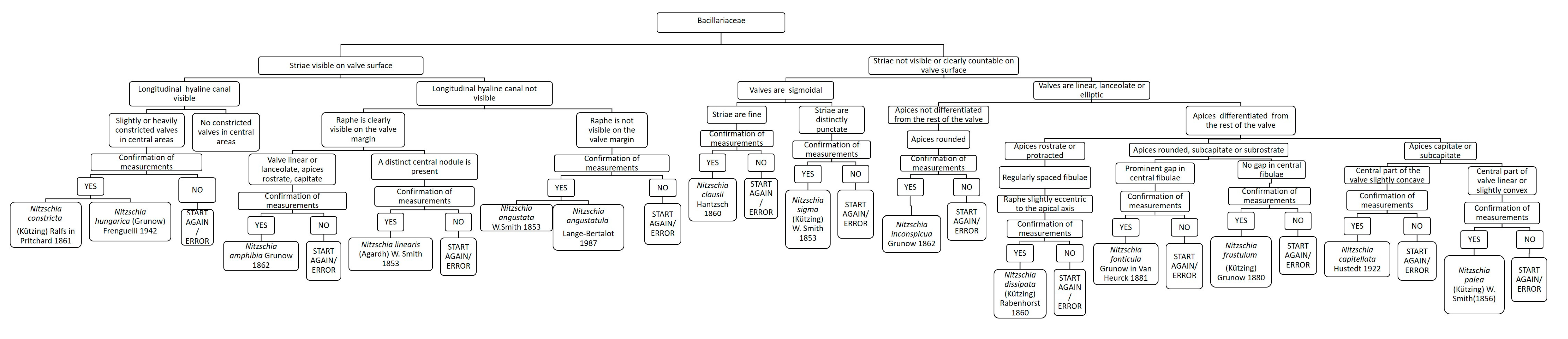 Ijerph 16 03933 g007