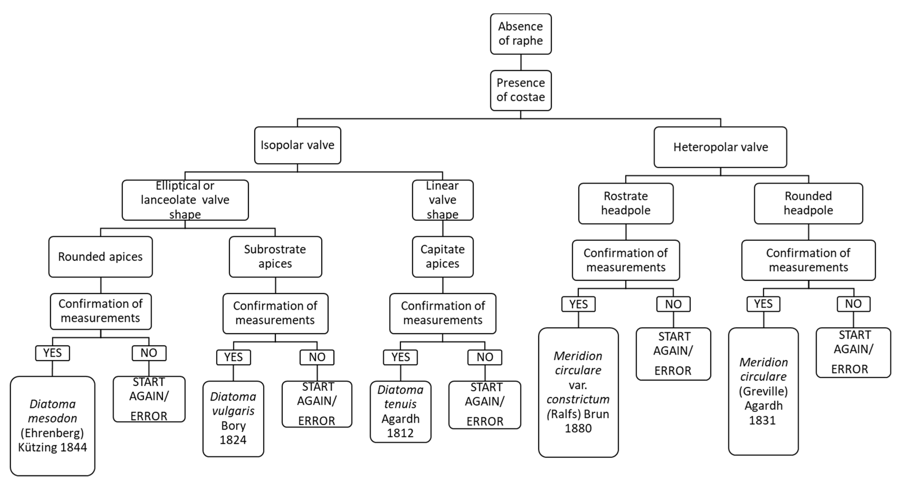 Ijerph 16 03933 g010