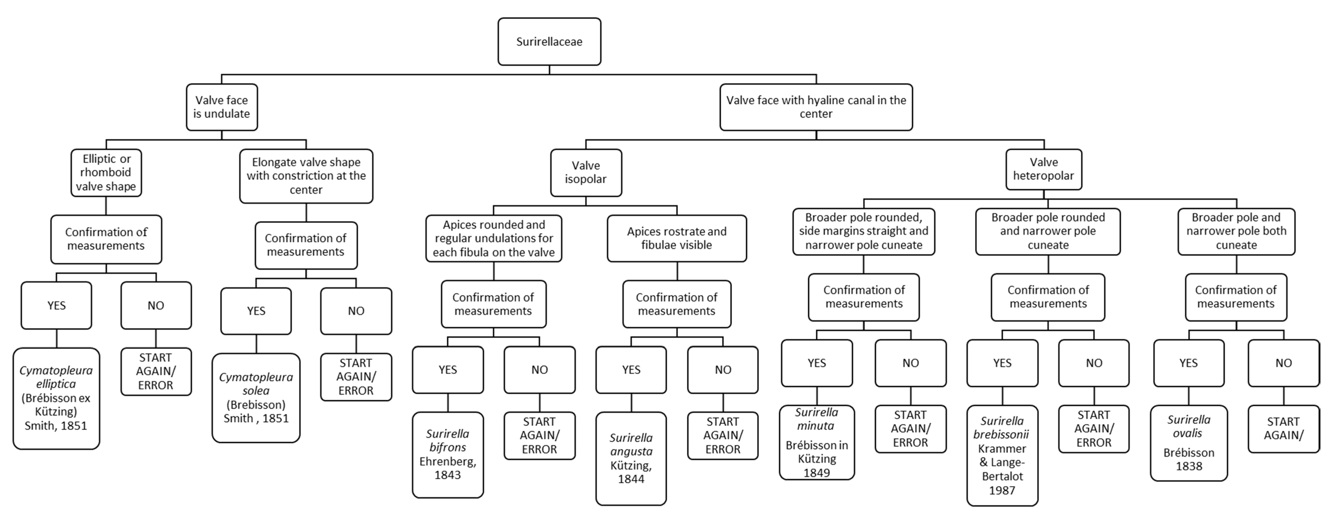 Ijerph 16 03933 g014