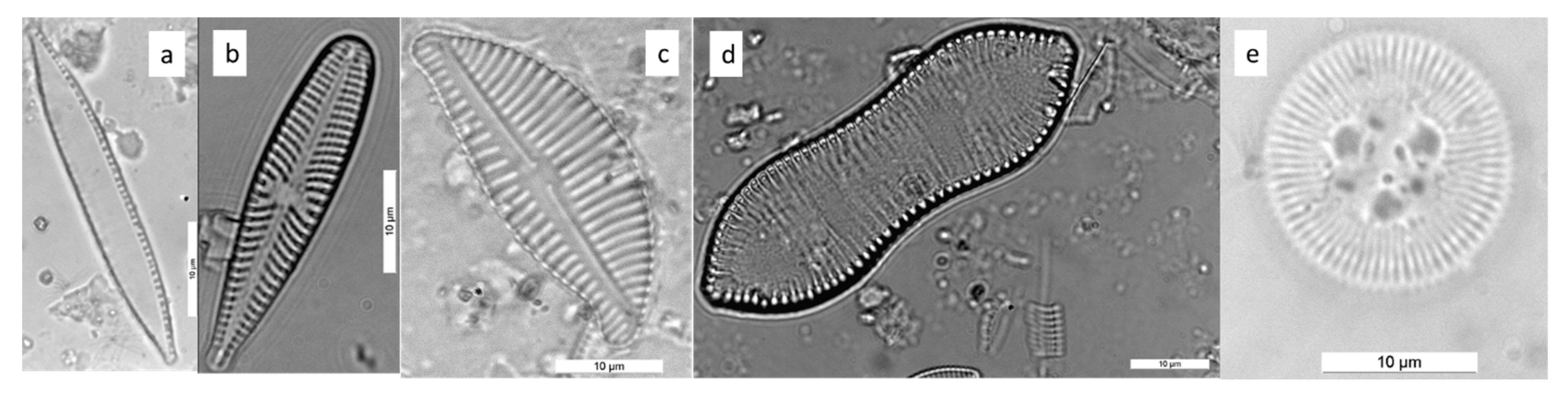 Ijerph 16 03933 g015