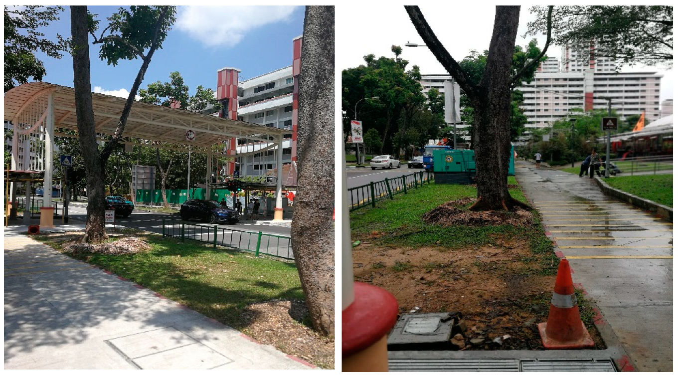 Ijerph 16 04251 g005