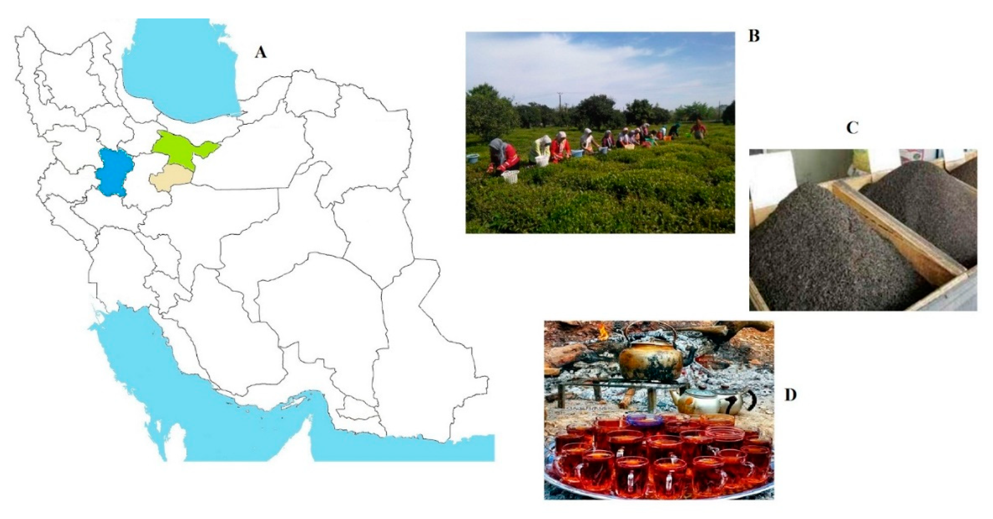 Ijerph 16 04261 g001