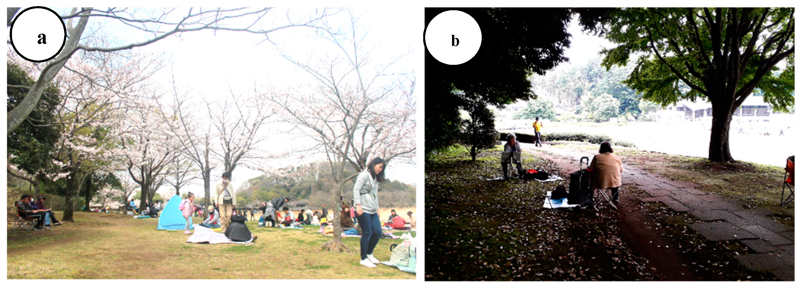 Ijerph 16 04279 g002