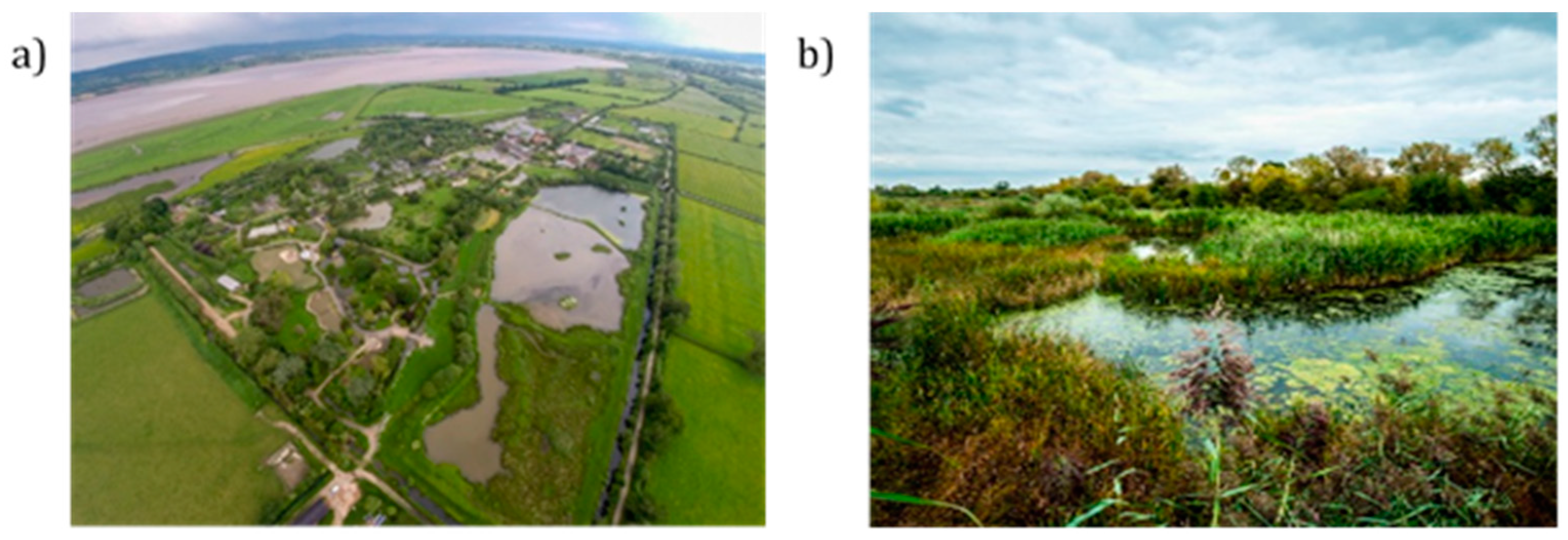 Ijerph 16 04413 g001