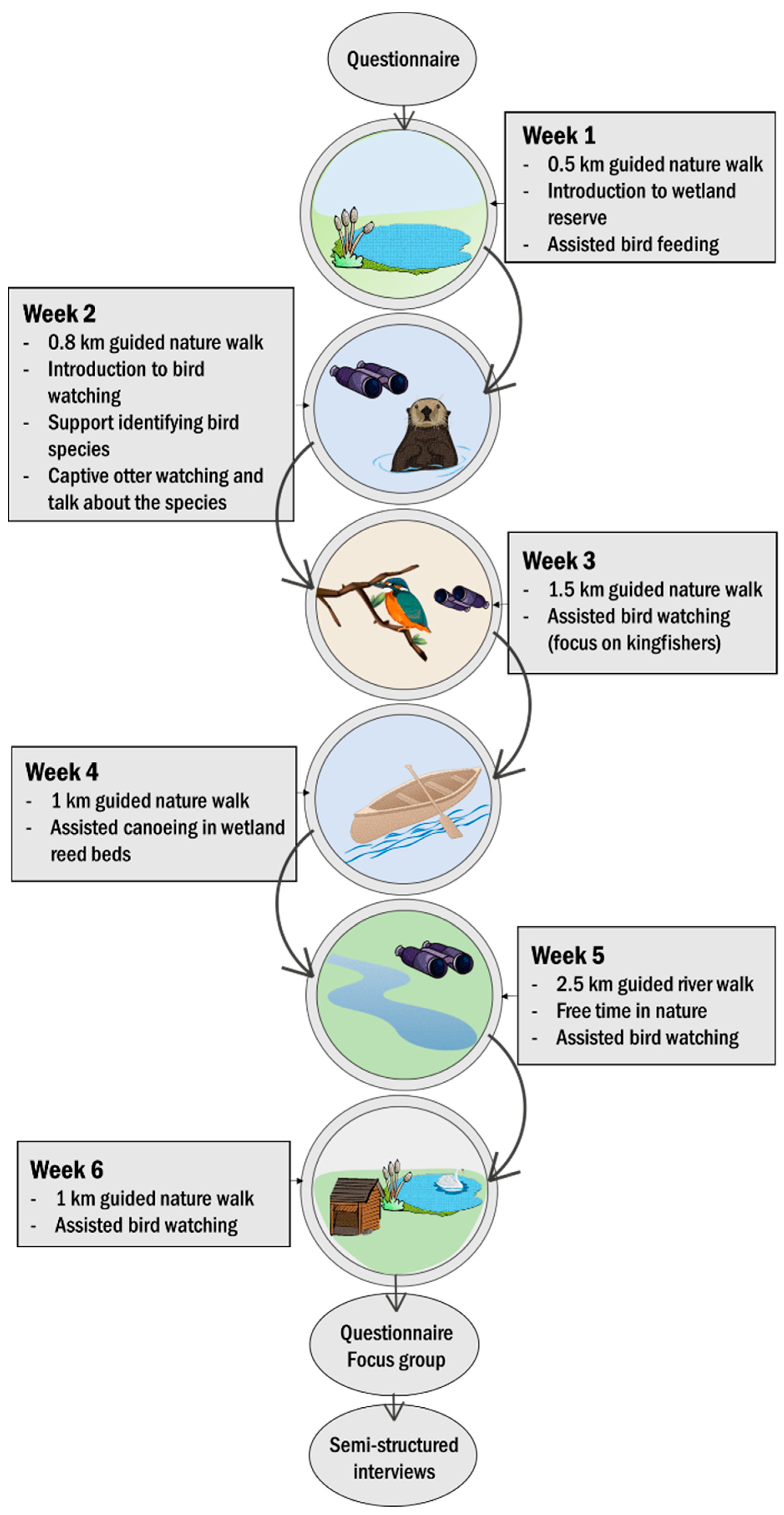 Ijerph 16 04413 g002