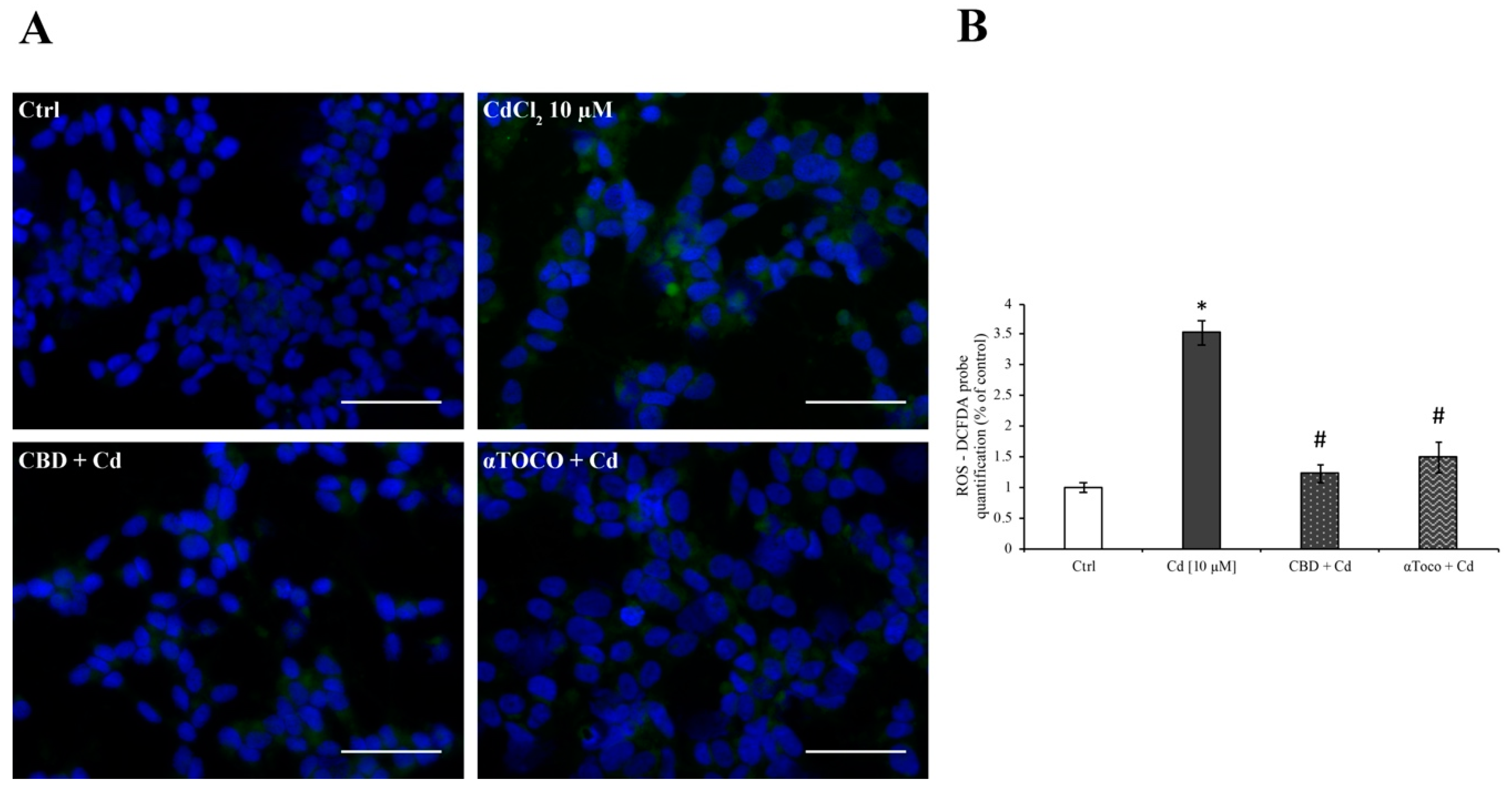 Ijerph 16 04420 g002 Ijerph 16 04420 g002