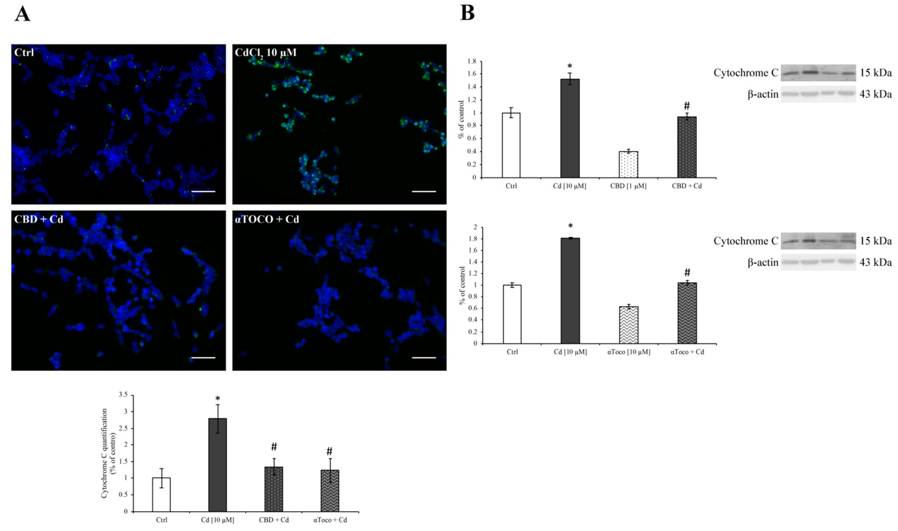 Ijerph 16 04420 g005 Ijerph 16 04420 g005