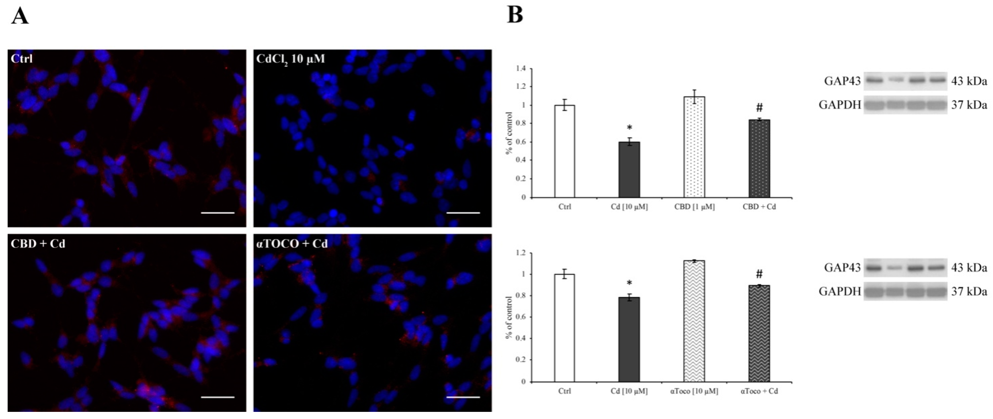 Ijerph 16 04420 g006 Ijerph 16 04420 g006
