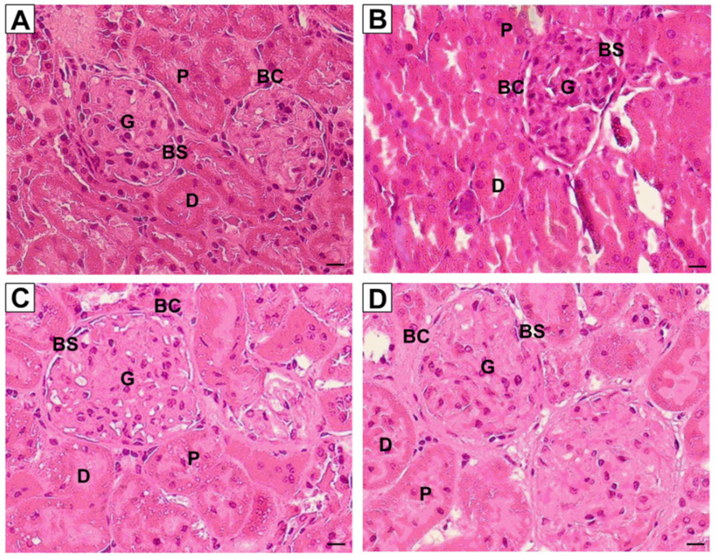 Ijerph 16 04445 g003