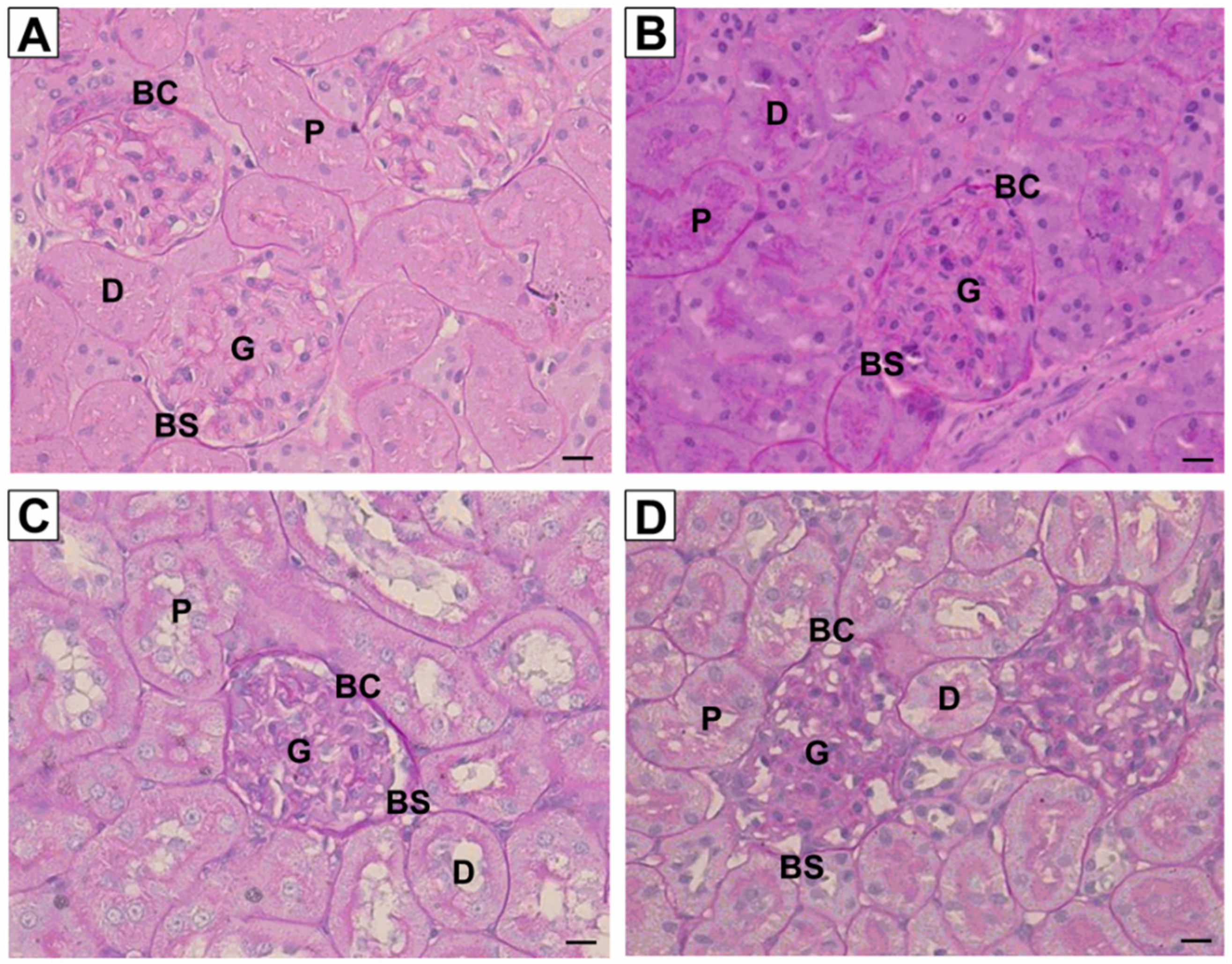 Ijerph 16 04445 g004