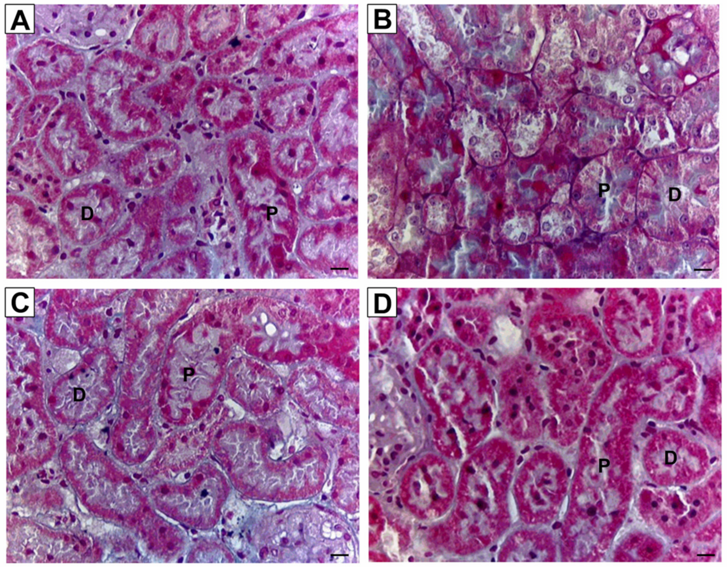 Ijerph 16 04445 g005