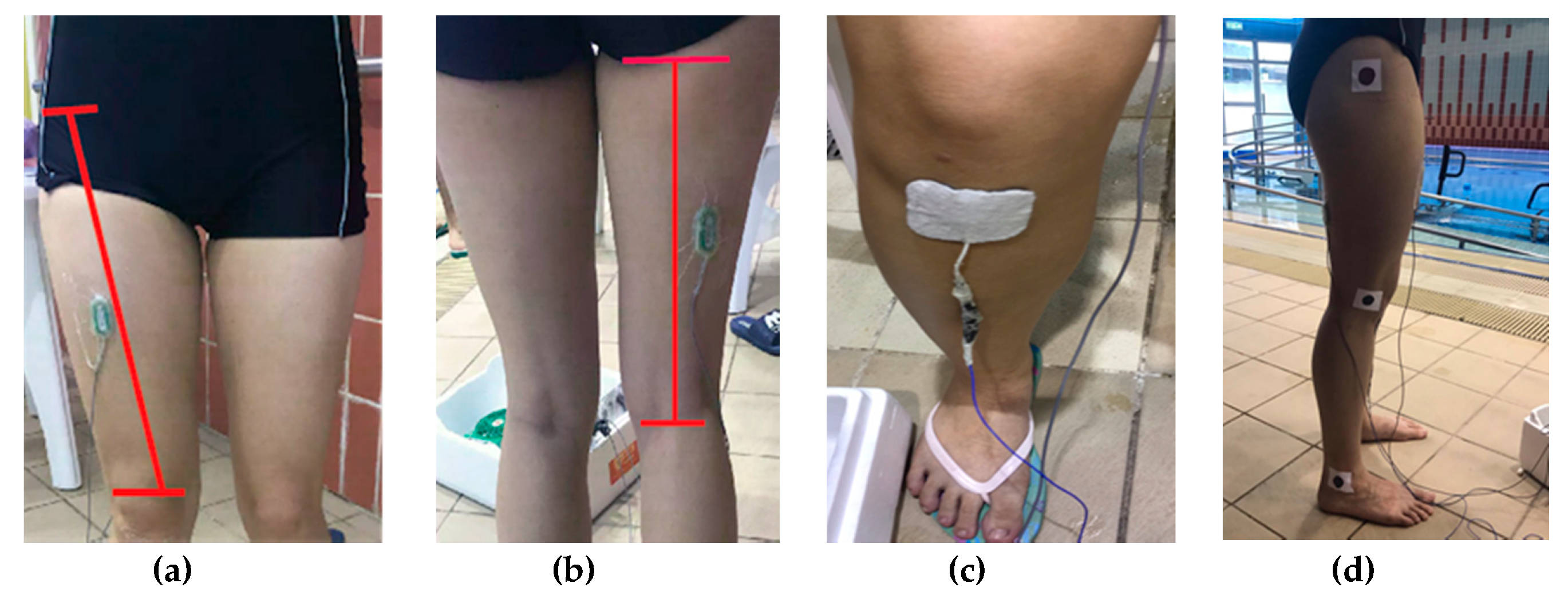 Ijerph 16 04562 g001