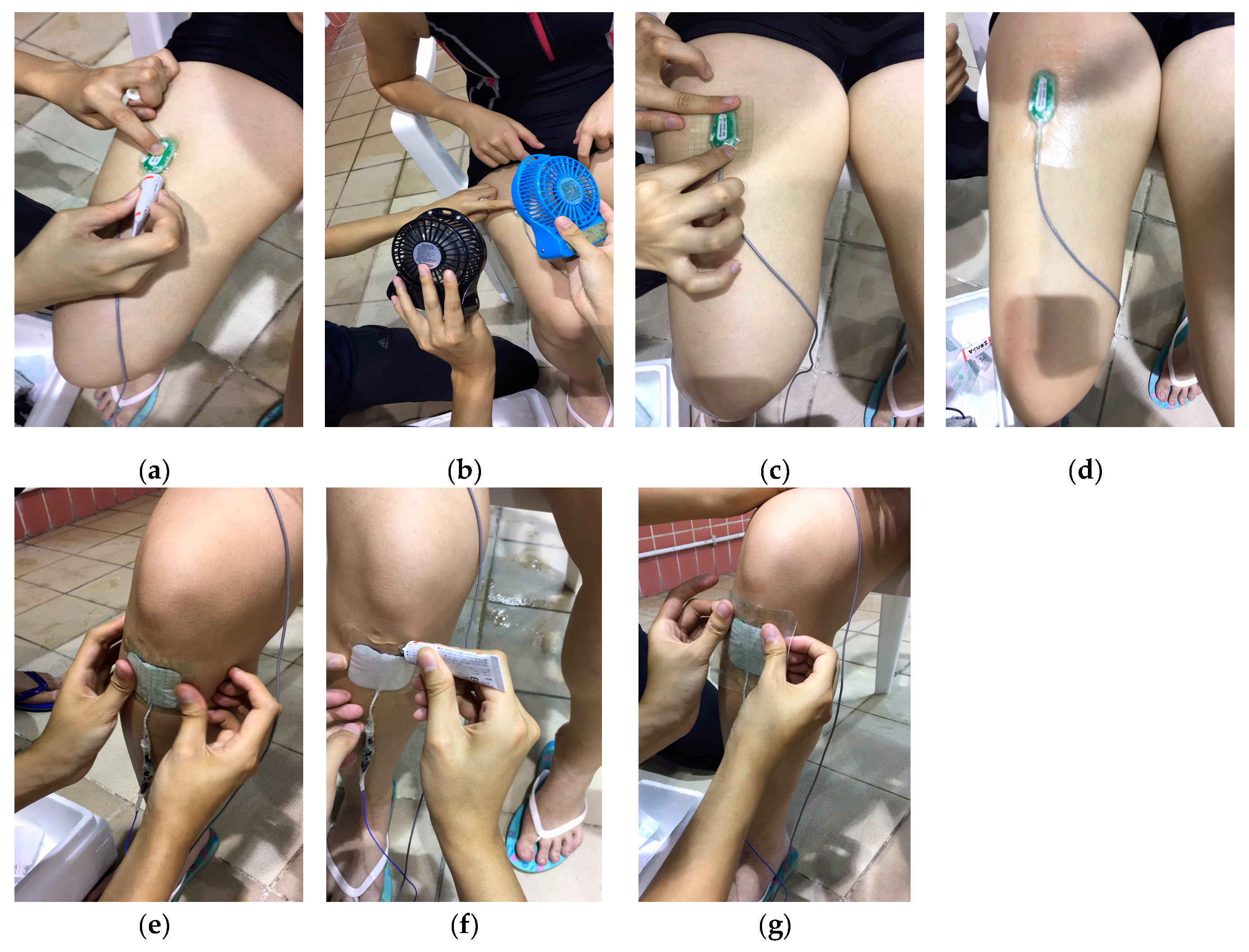 Ijerph 16 04562 g002