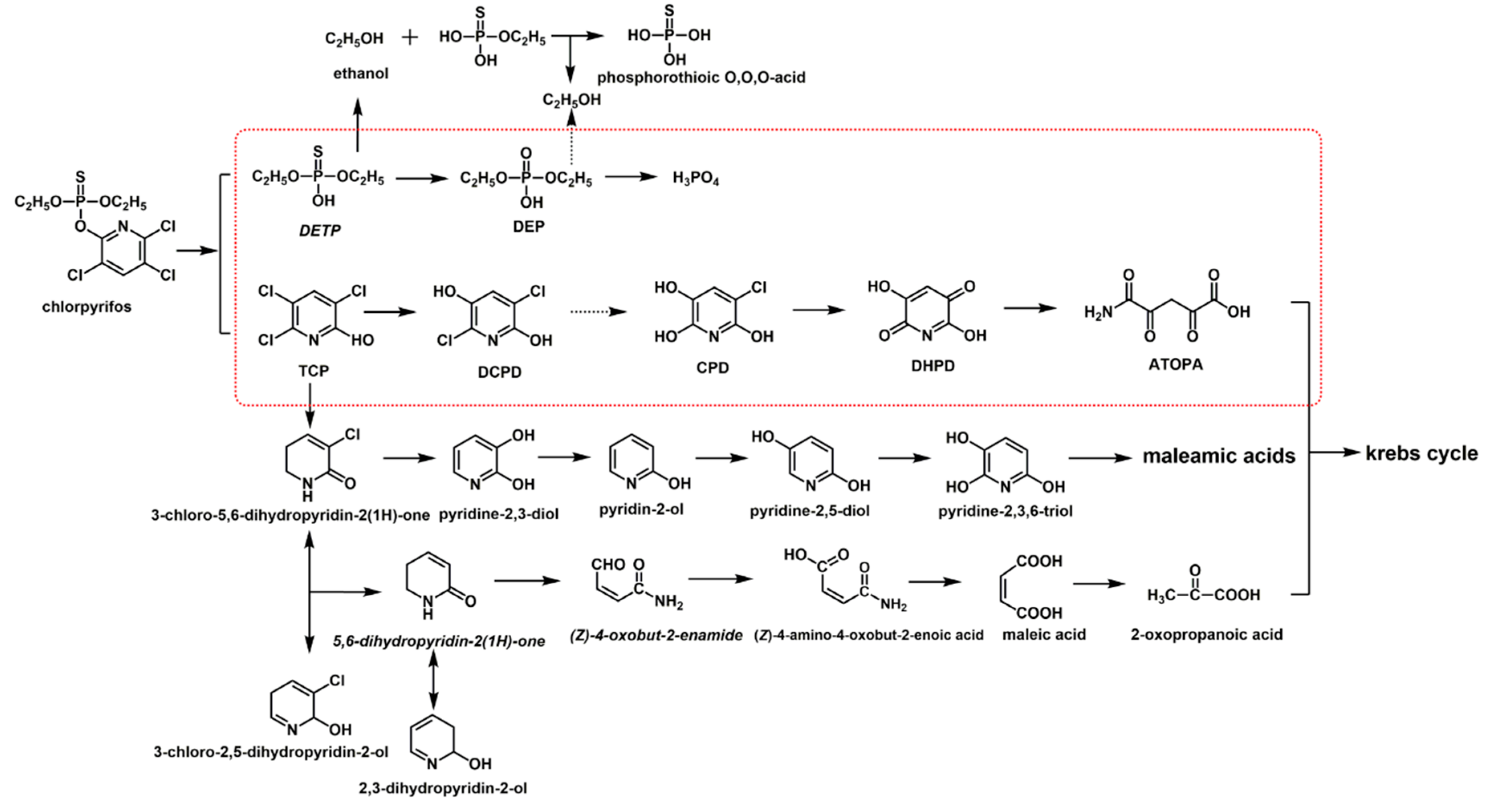 Ijerph 16 04593 g005 Ijerph 16 04593 g005