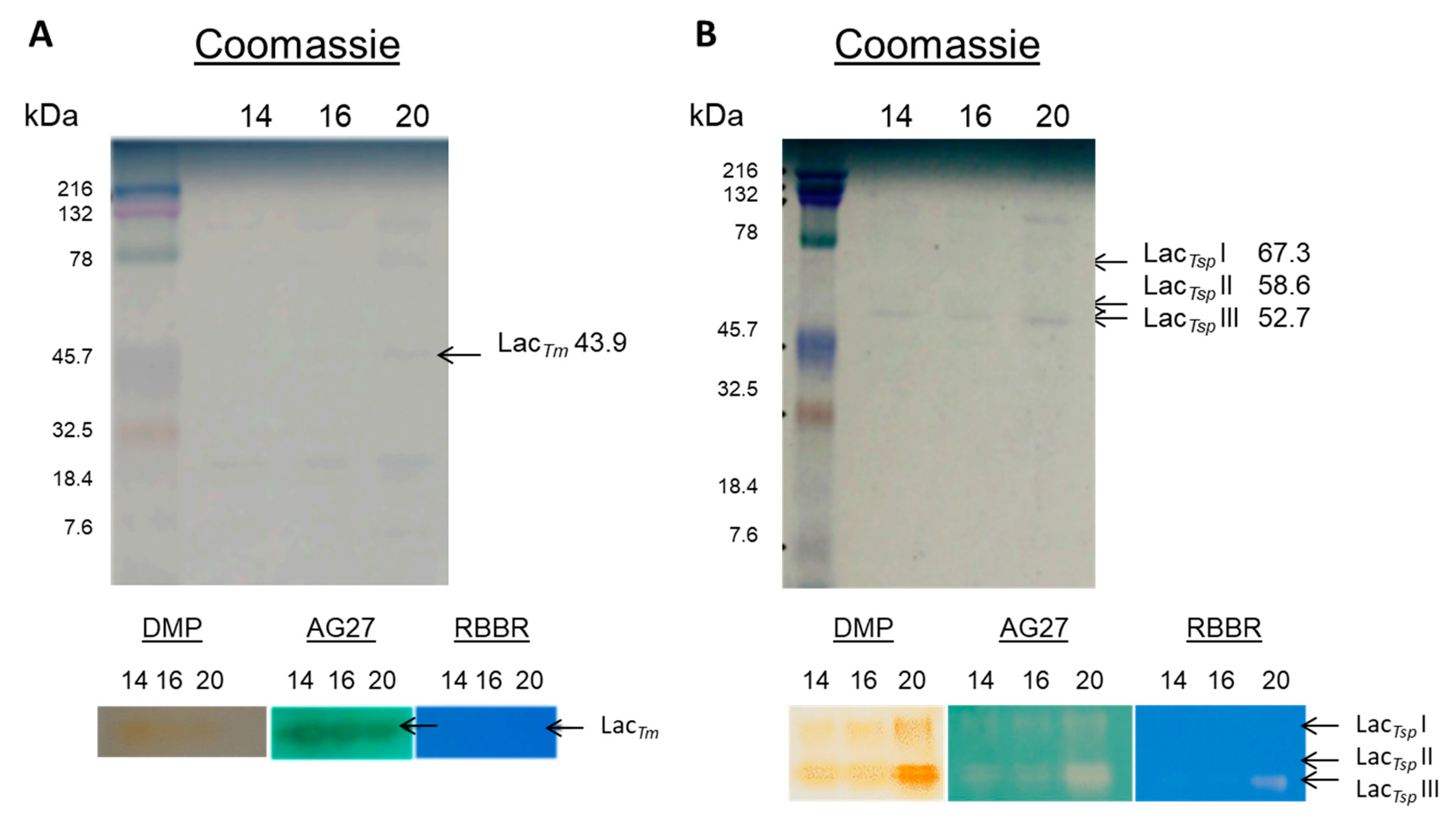Ijerph 16 04610 g002 Ijerph 16 04610 g002