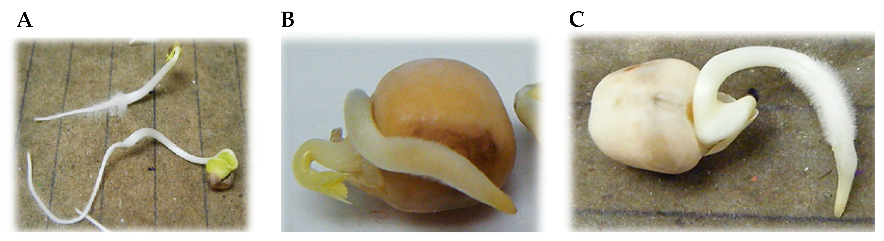 Ijerph 16 04610 g003 Ijerph 16 04610 g003