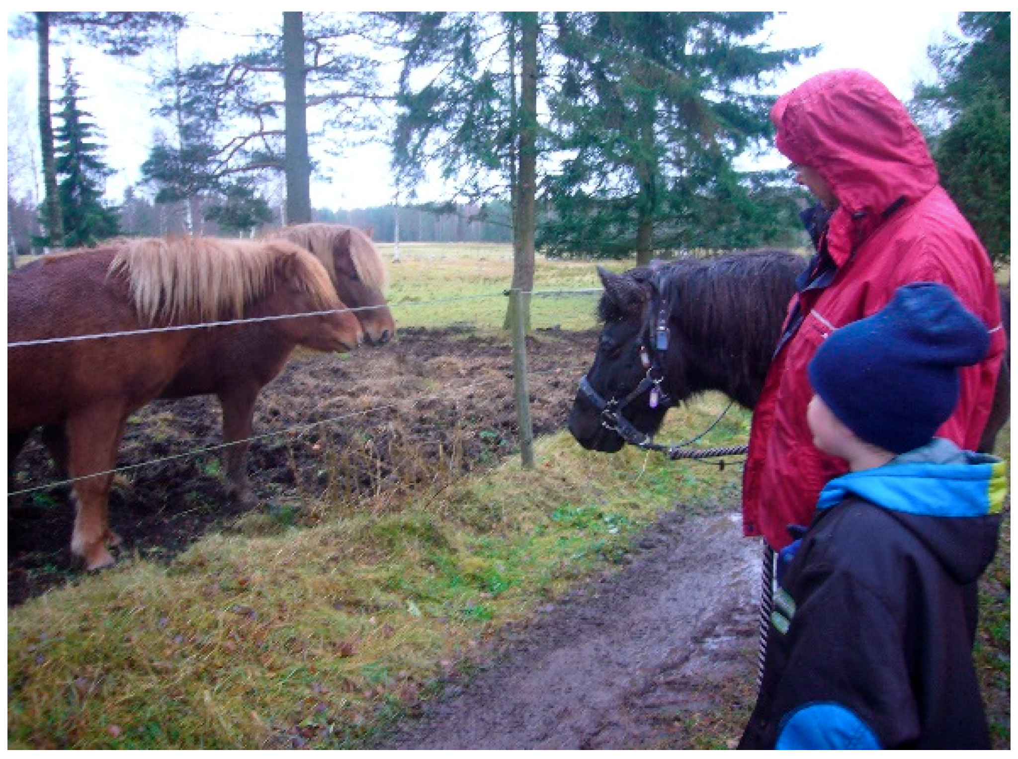 Ijerph 16 04673 g006