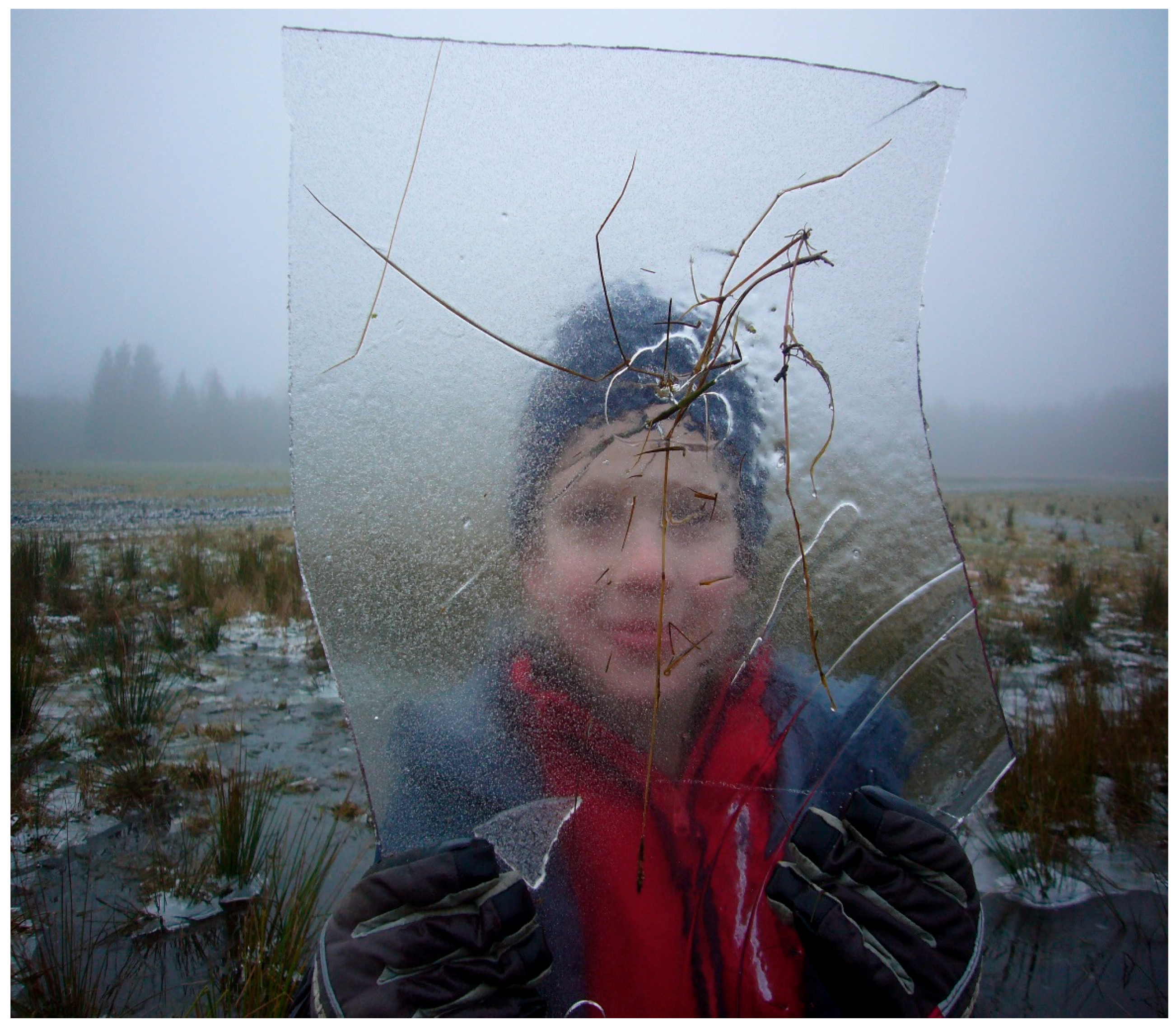 Ijerph 16 04673 g009