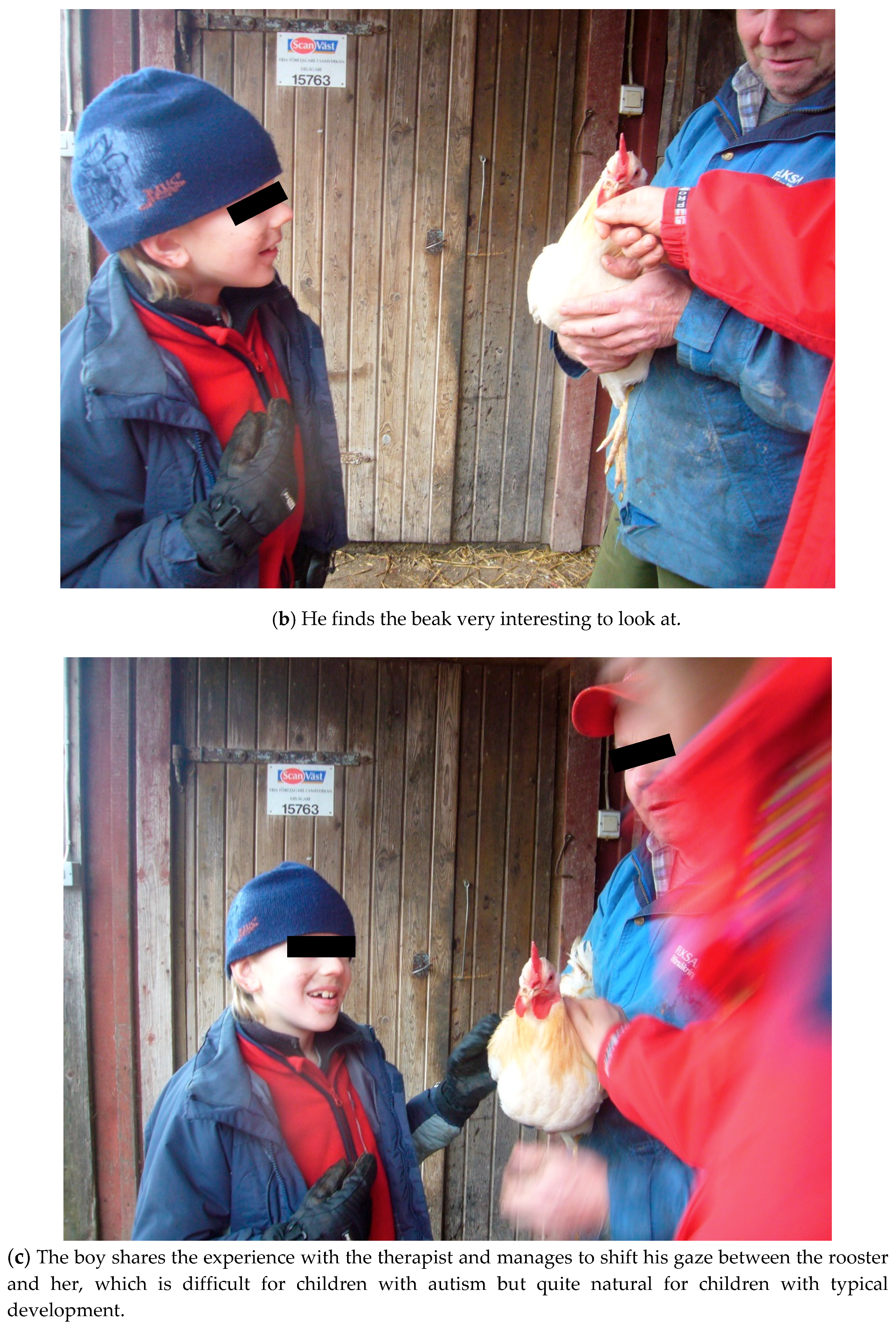 Ijerph 16 04673 g012b