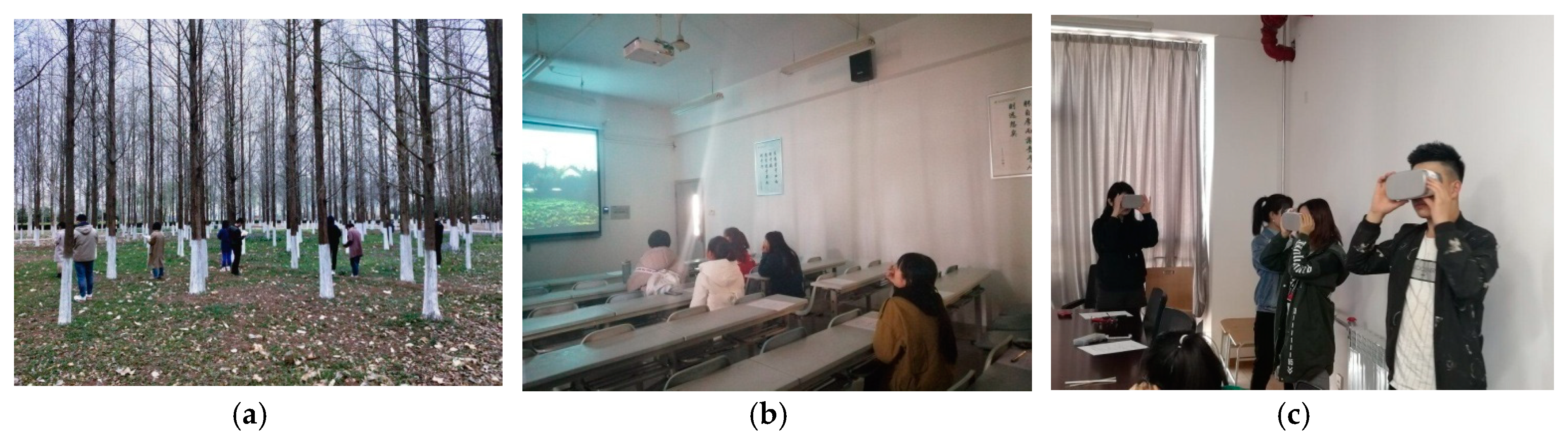 Ijerph 16 04754 g004