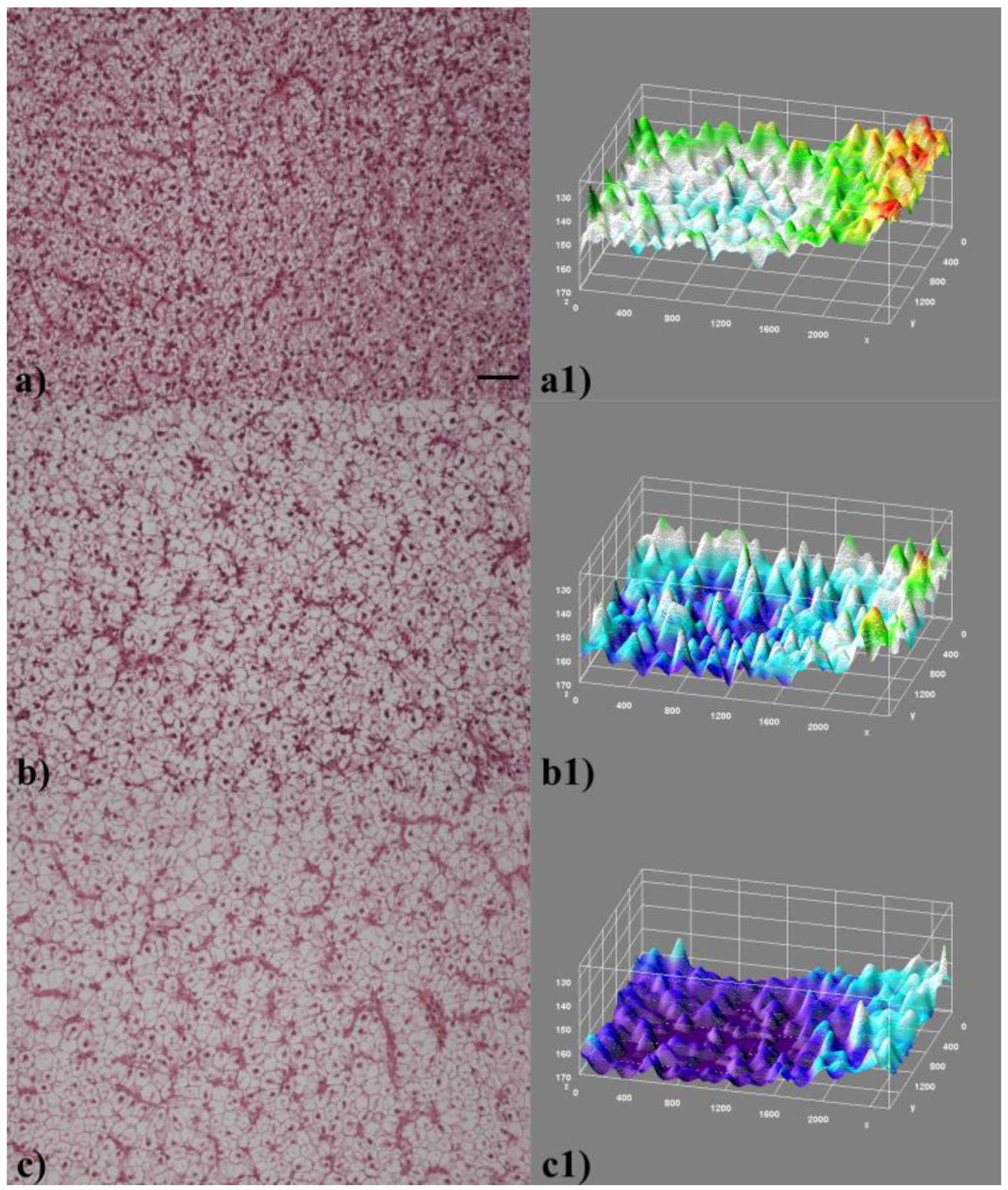 Ijerph 16 04923 g001