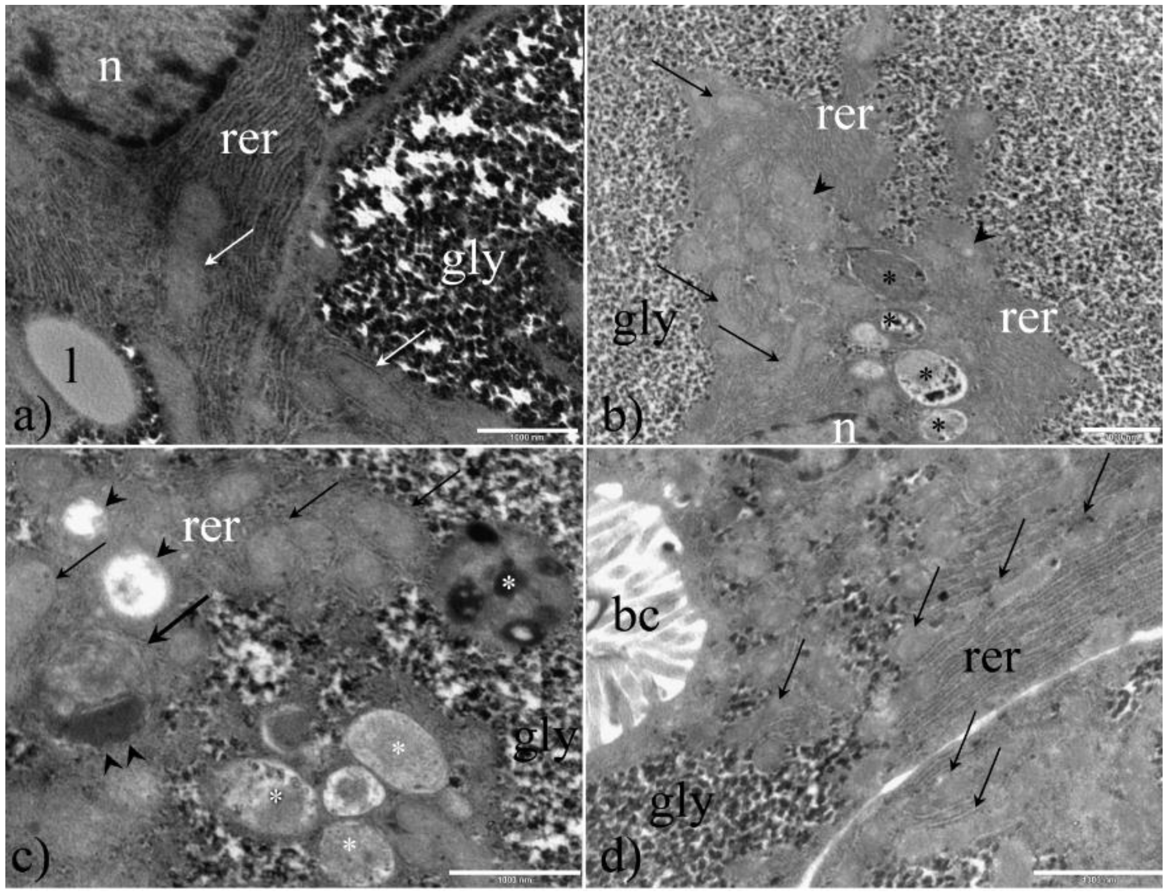 Ijerph 16 04923 g007