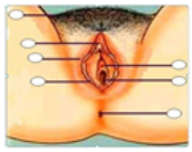 Ijerph 16 05155 i001