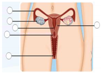 Ijerph 16 05155 i002