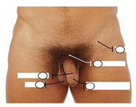 Ijerph 16 05155 i003