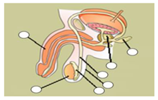 Ijerph 16 05155 i004