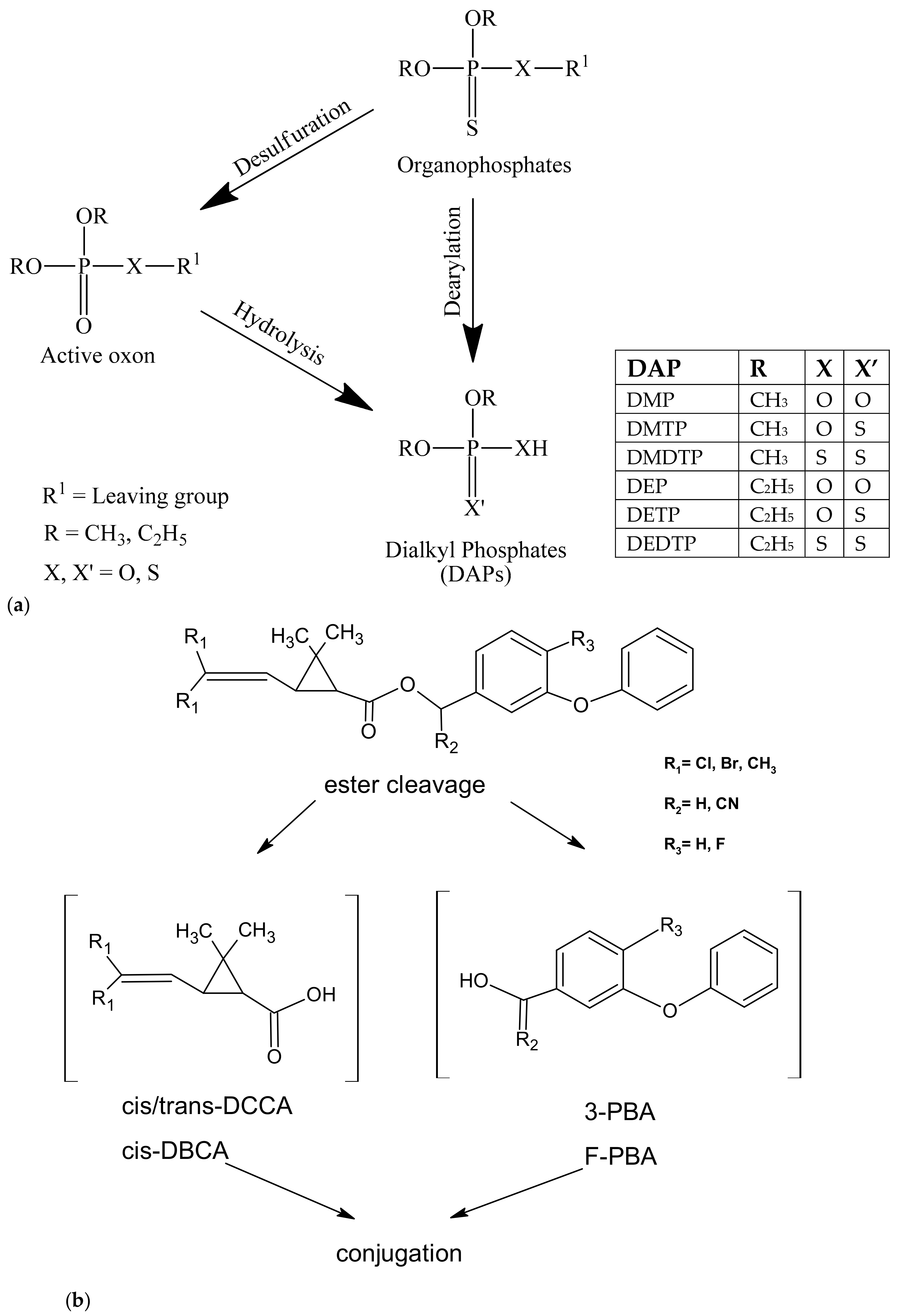 Ijerph 17 00034 g002