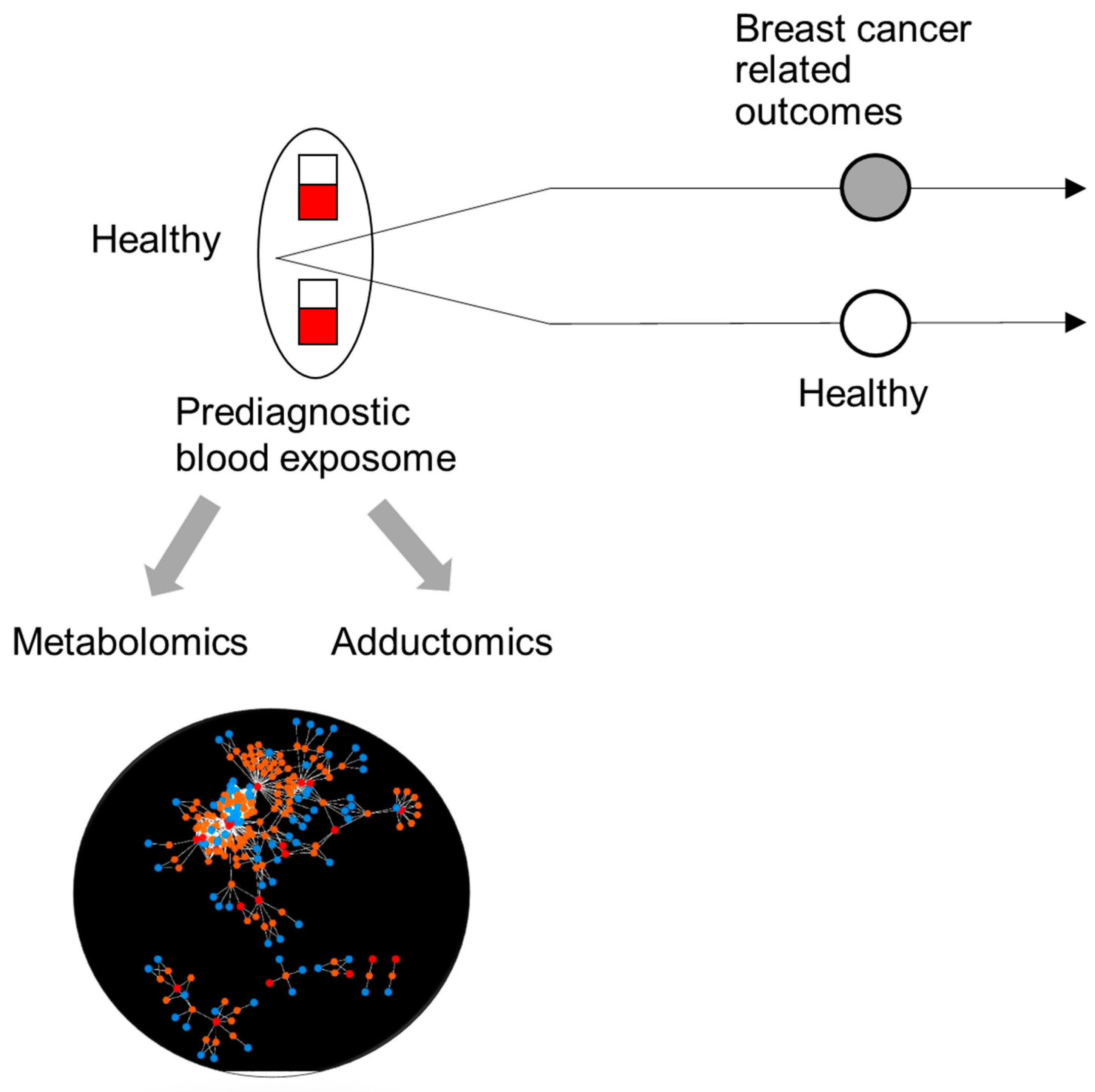 Ijerph 17 00189 g001